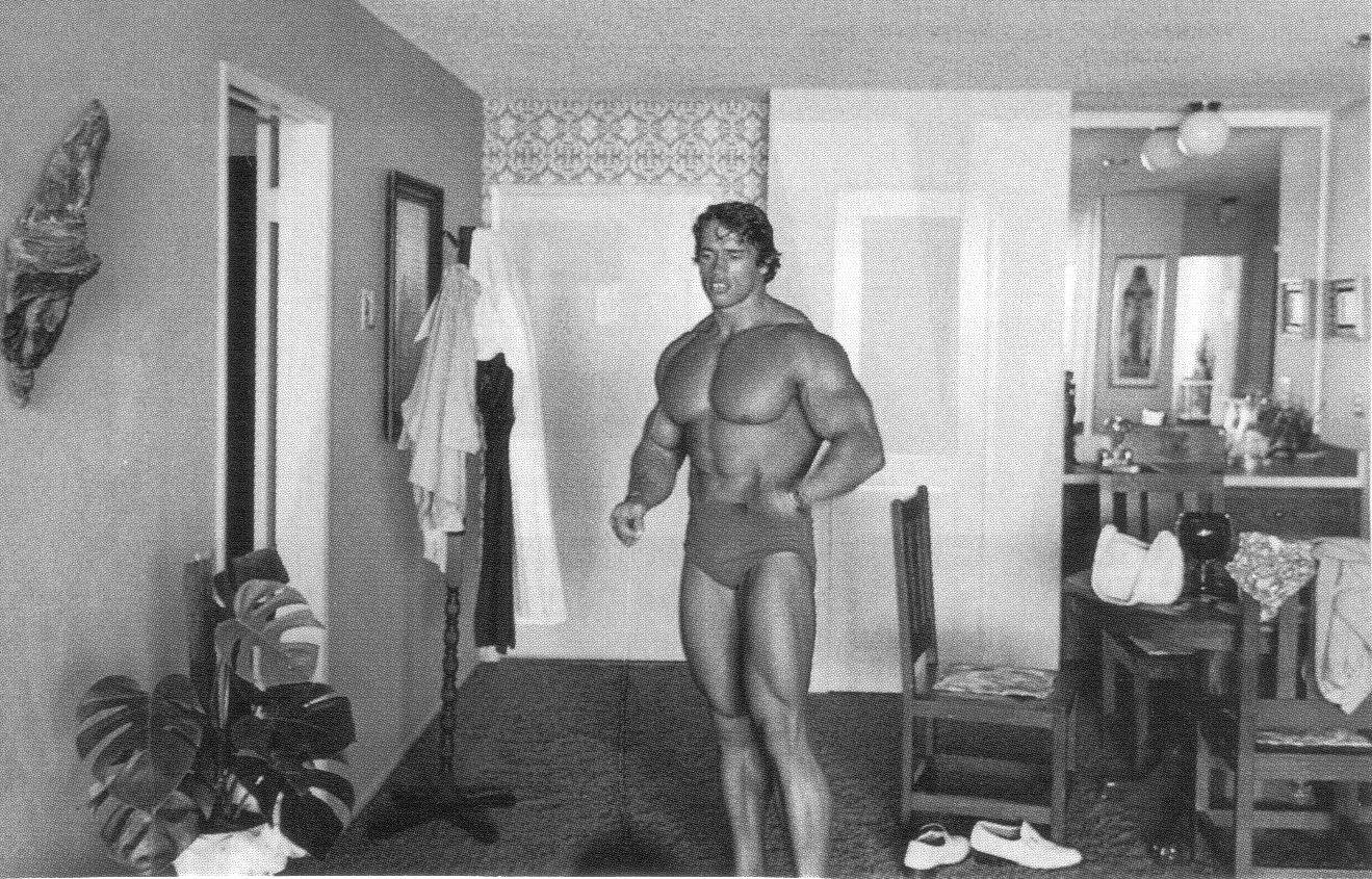 Arnold Schwarzenegger photo #179574