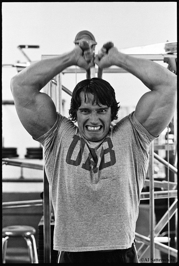 Arnold Schwarzenegger photo #47543