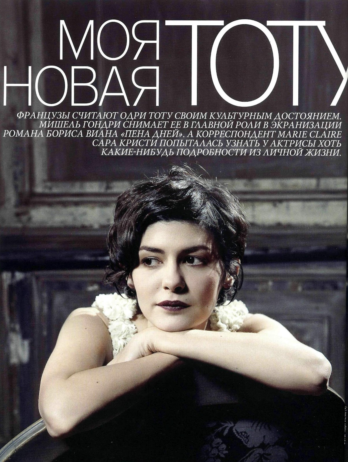 Audrey Tautou photo #361173