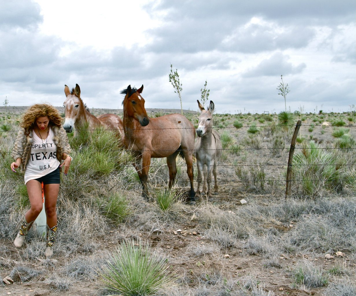 Beyonce Knowles photo #417426