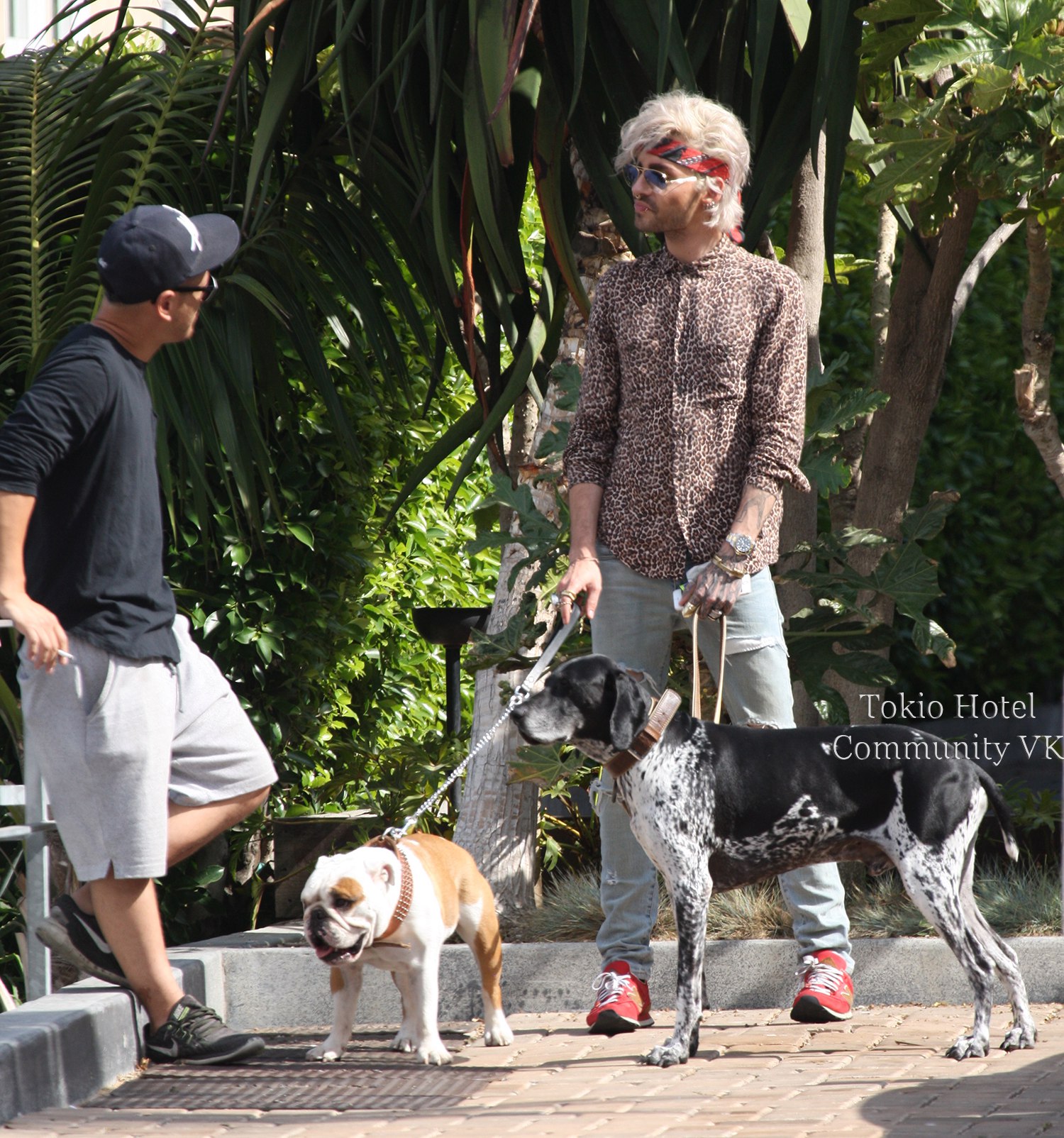 Bill Kaulitz photo #727673