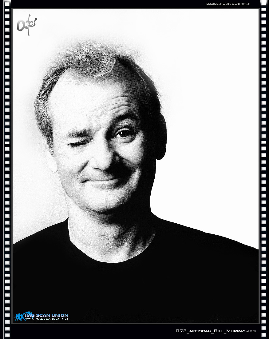 Bill Murray photo #9419