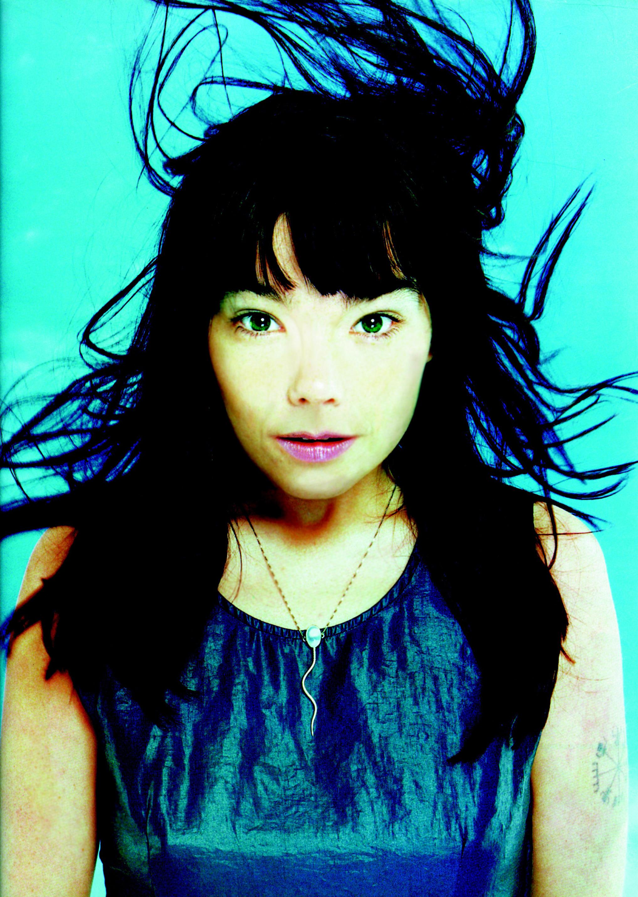 Bjork photo #8342