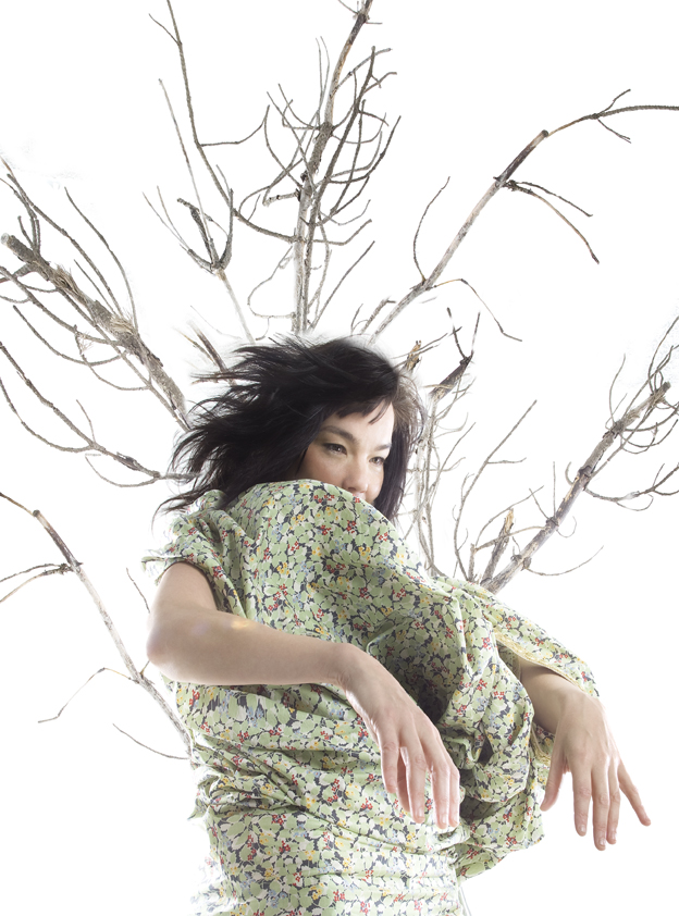 Bjork photo #137384