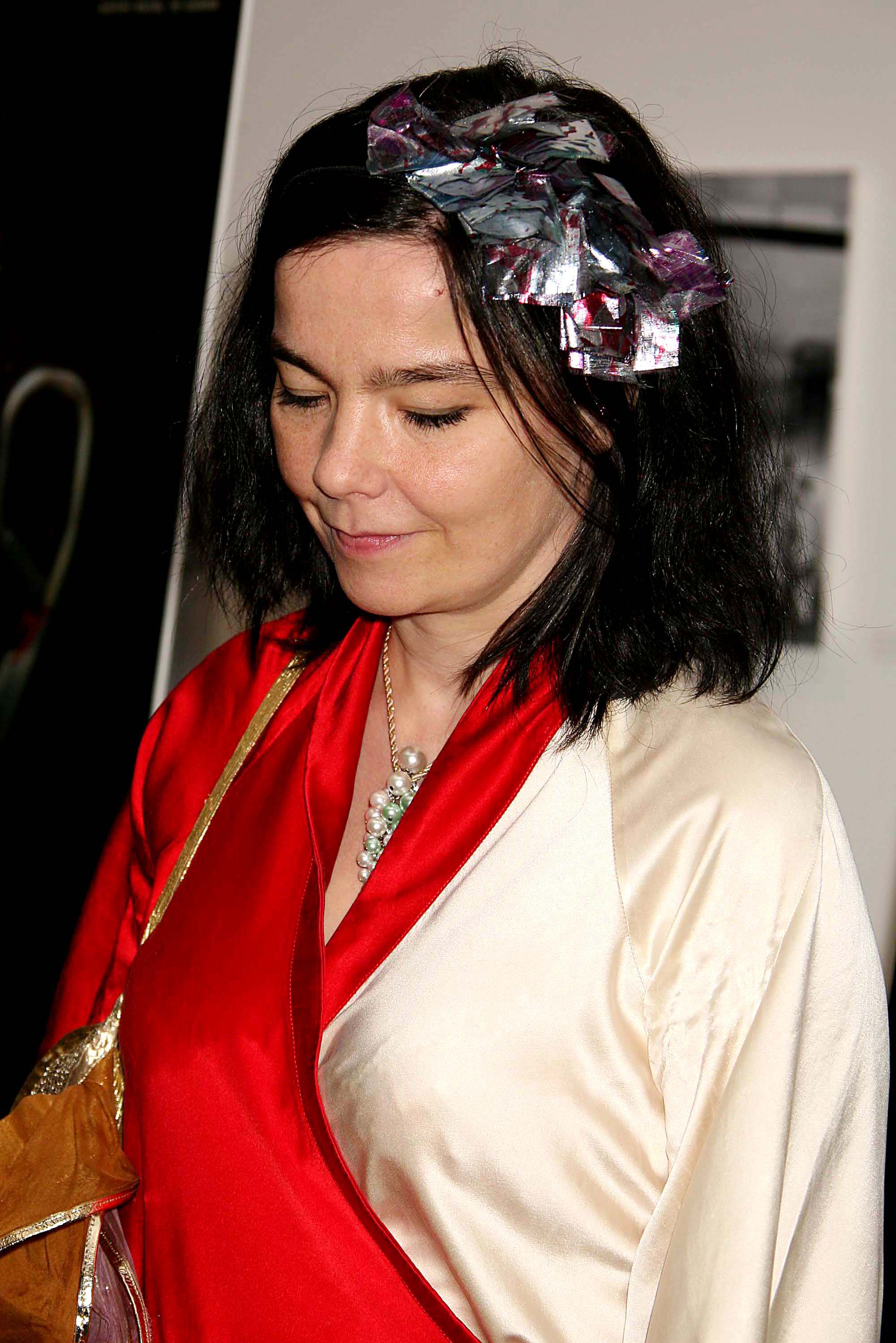 Bjork photo #29838