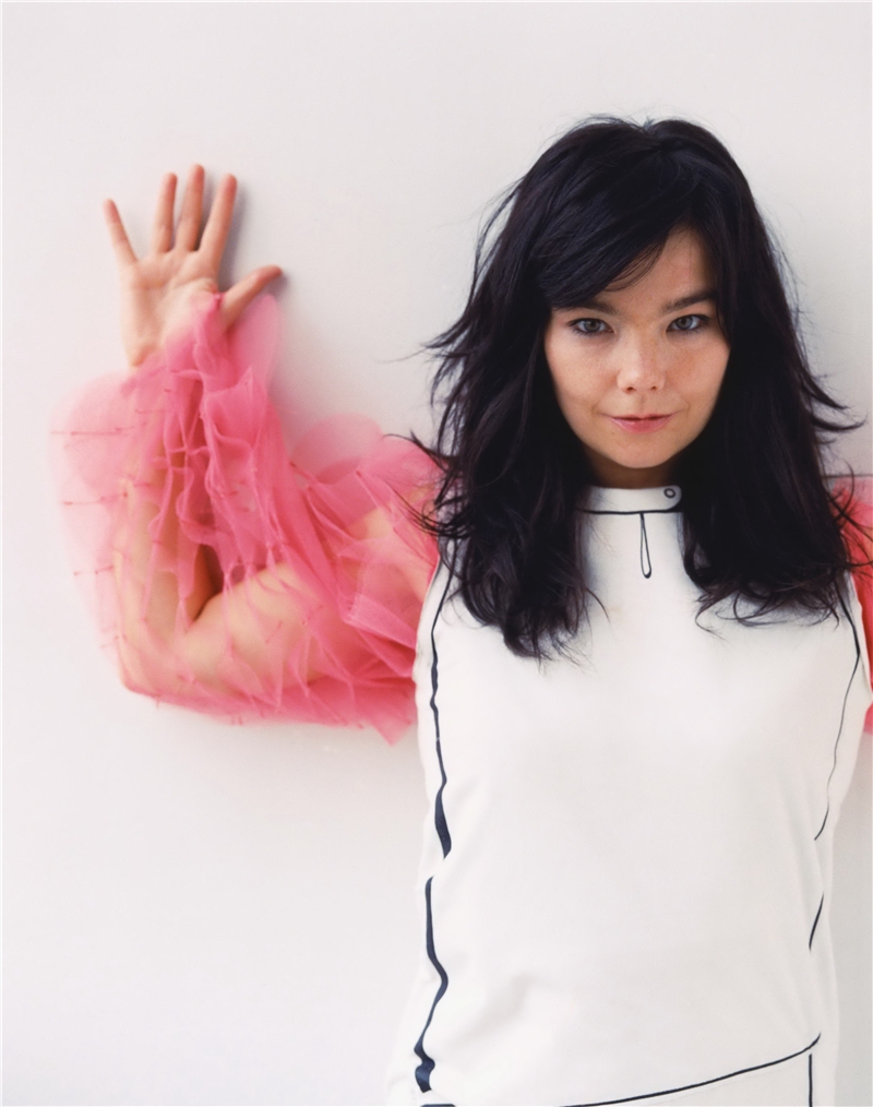 Bjork photo #104277