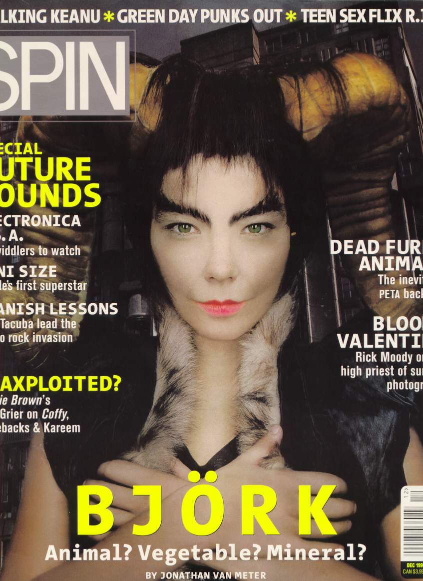 Bjork photo #265190