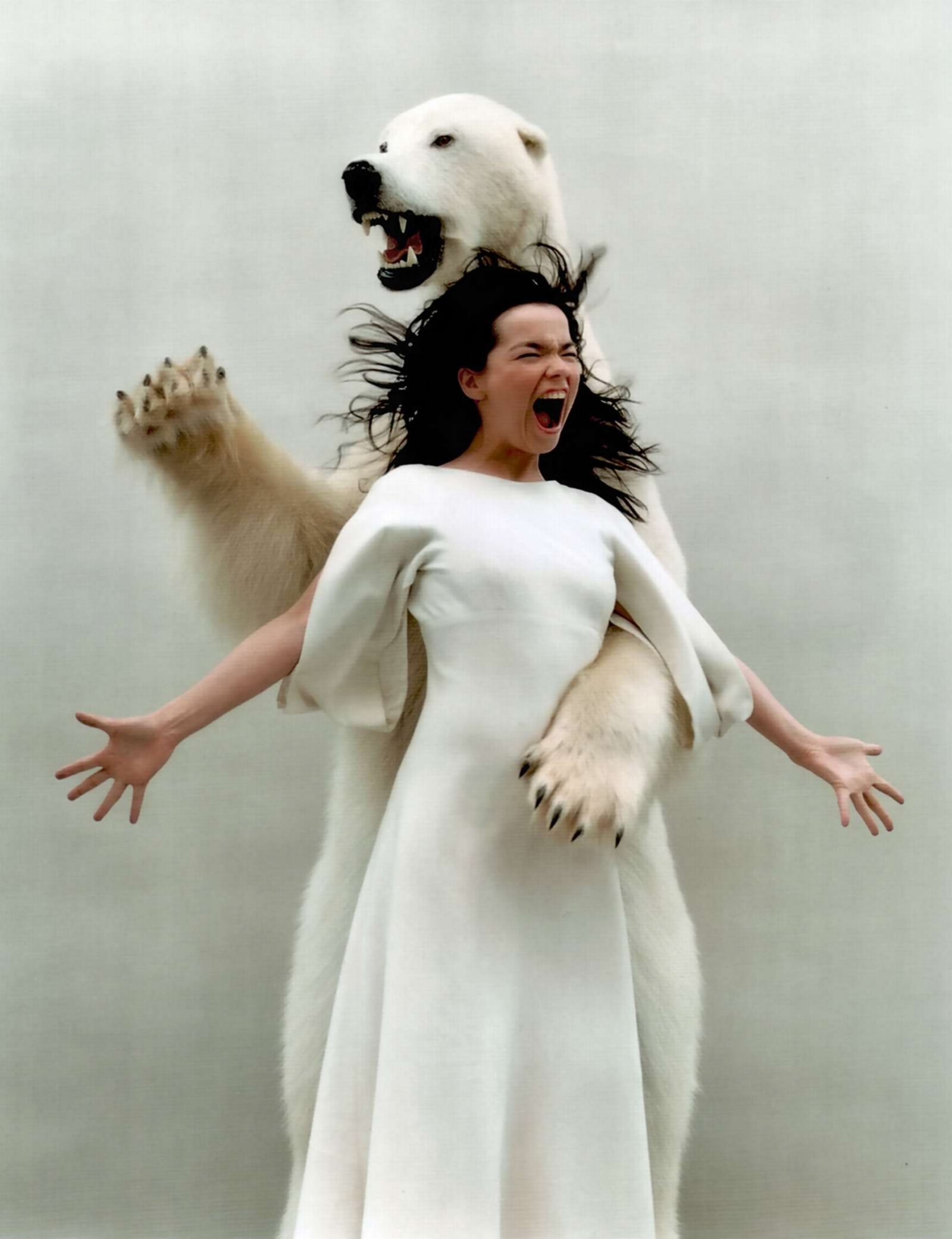 Bjork photo #31375