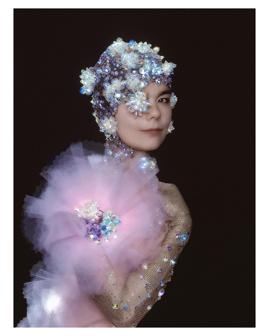 Bjork photo #68996