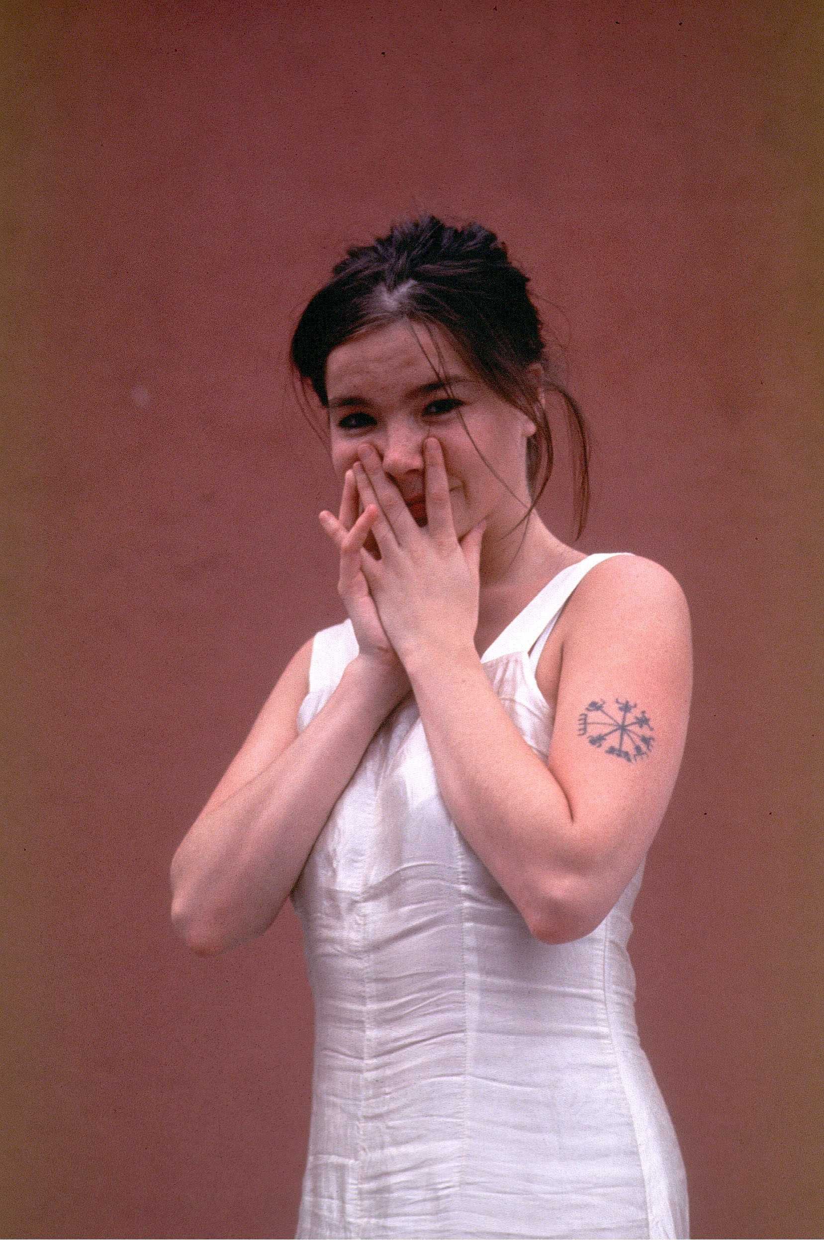 Bjork photo #120223