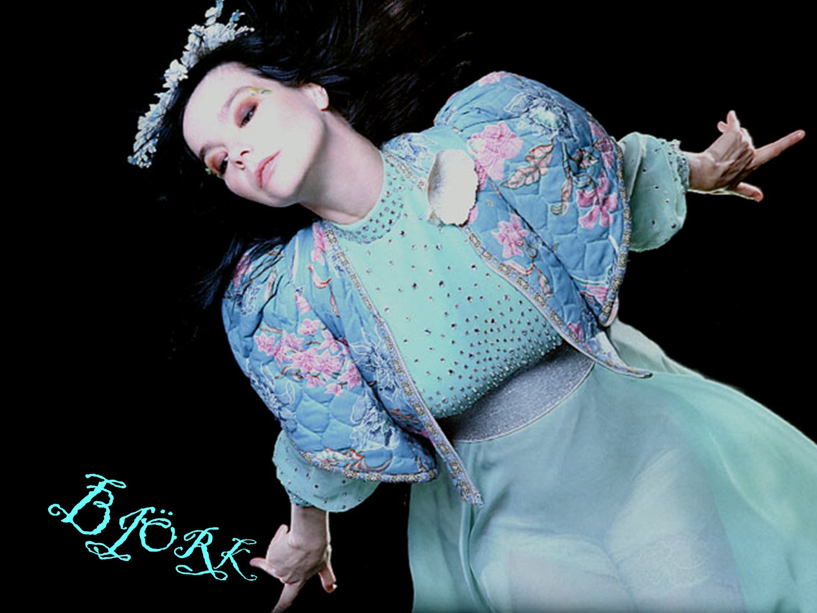 Bjork photo #41116