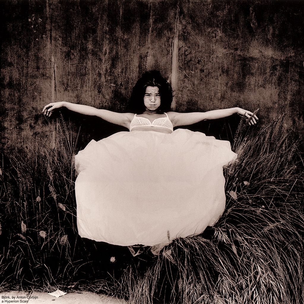 Bjork photo #34245