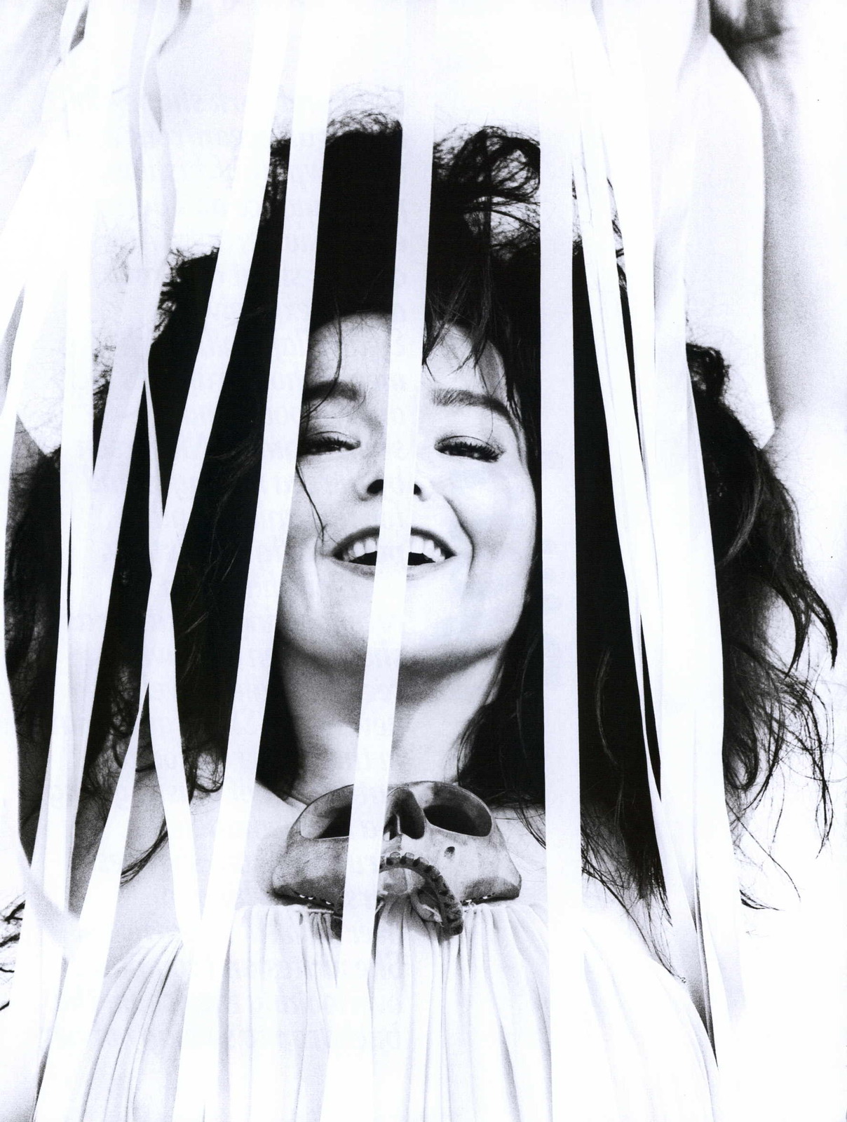 Bjork photo #241416