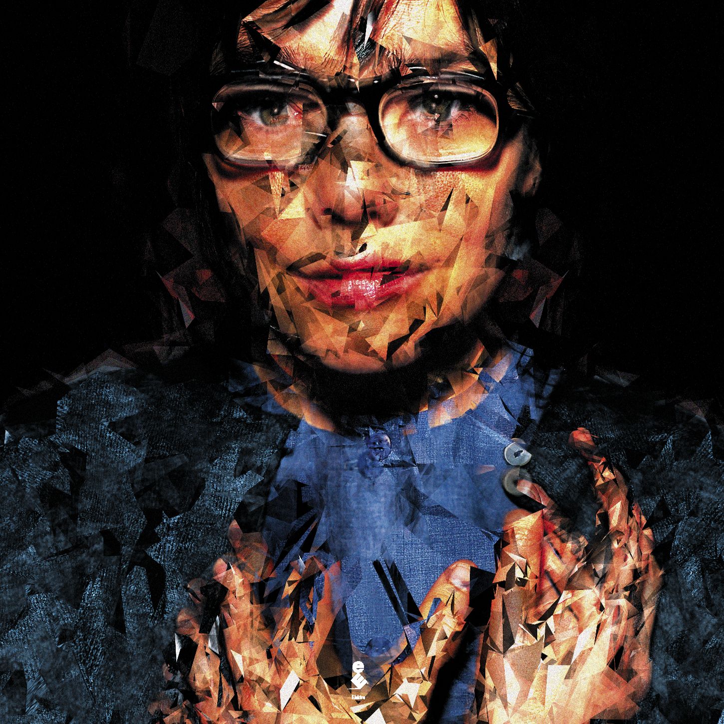 Bjork photo #282190