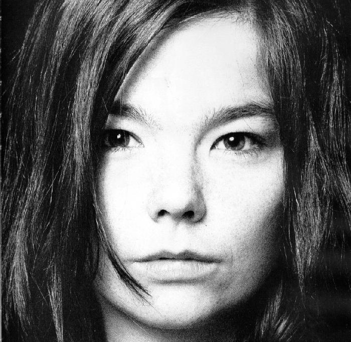 Bjork photo #561467