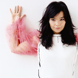 Bjork photo #561488