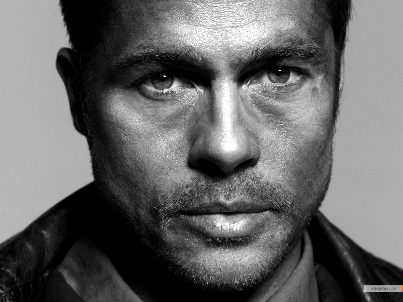 Brad Pitt photo #141255