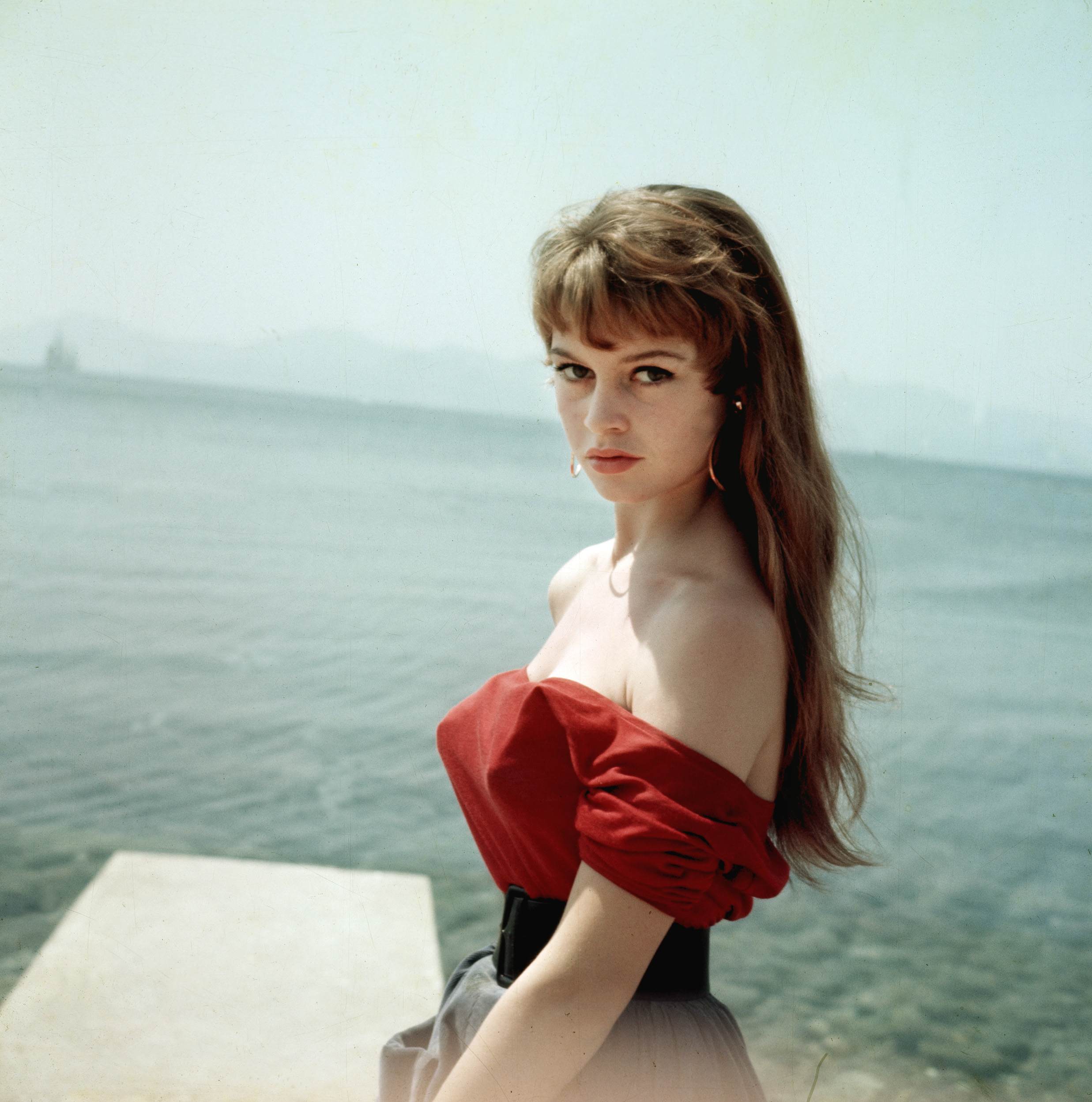 Brigitte Bardot photo #91119