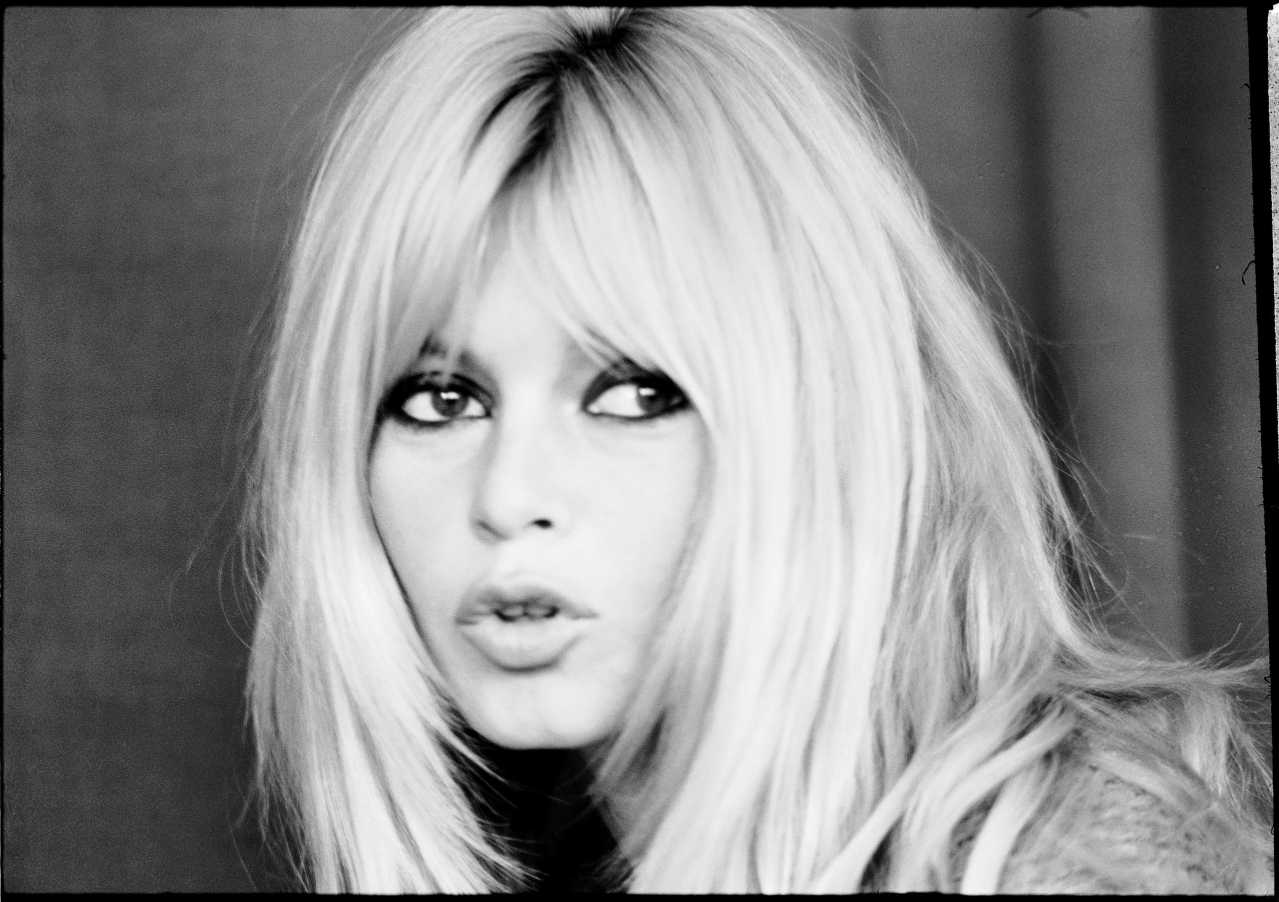 Brigitte Bardot photo #380864