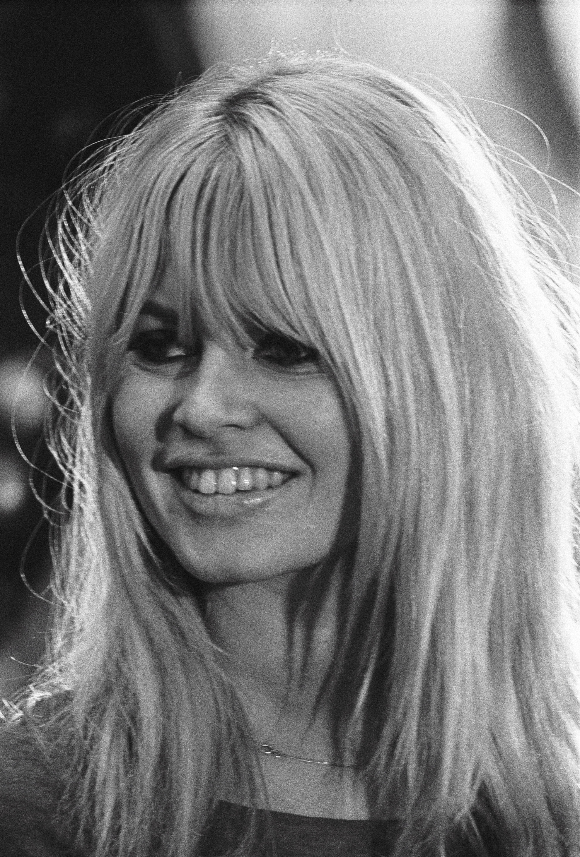 Brigitte Bardot photo #374879