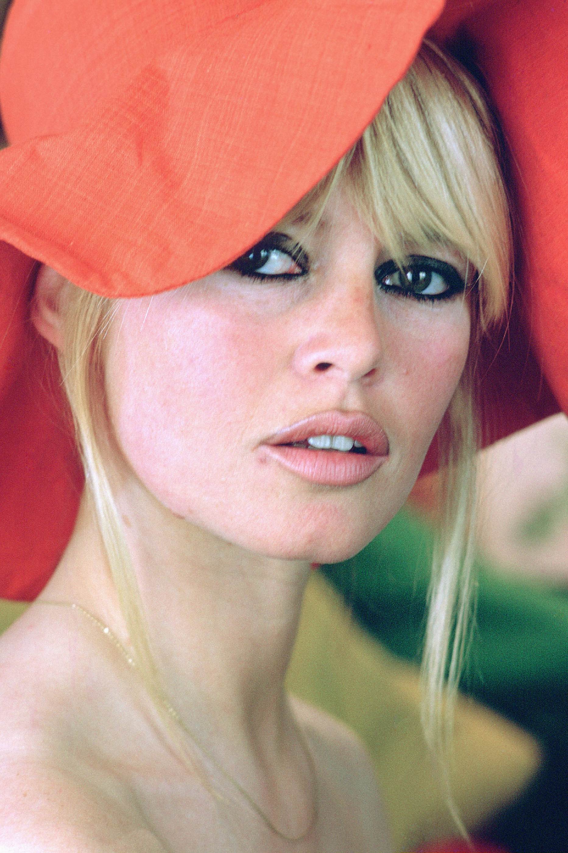 Brigitte Bardot photo #92629