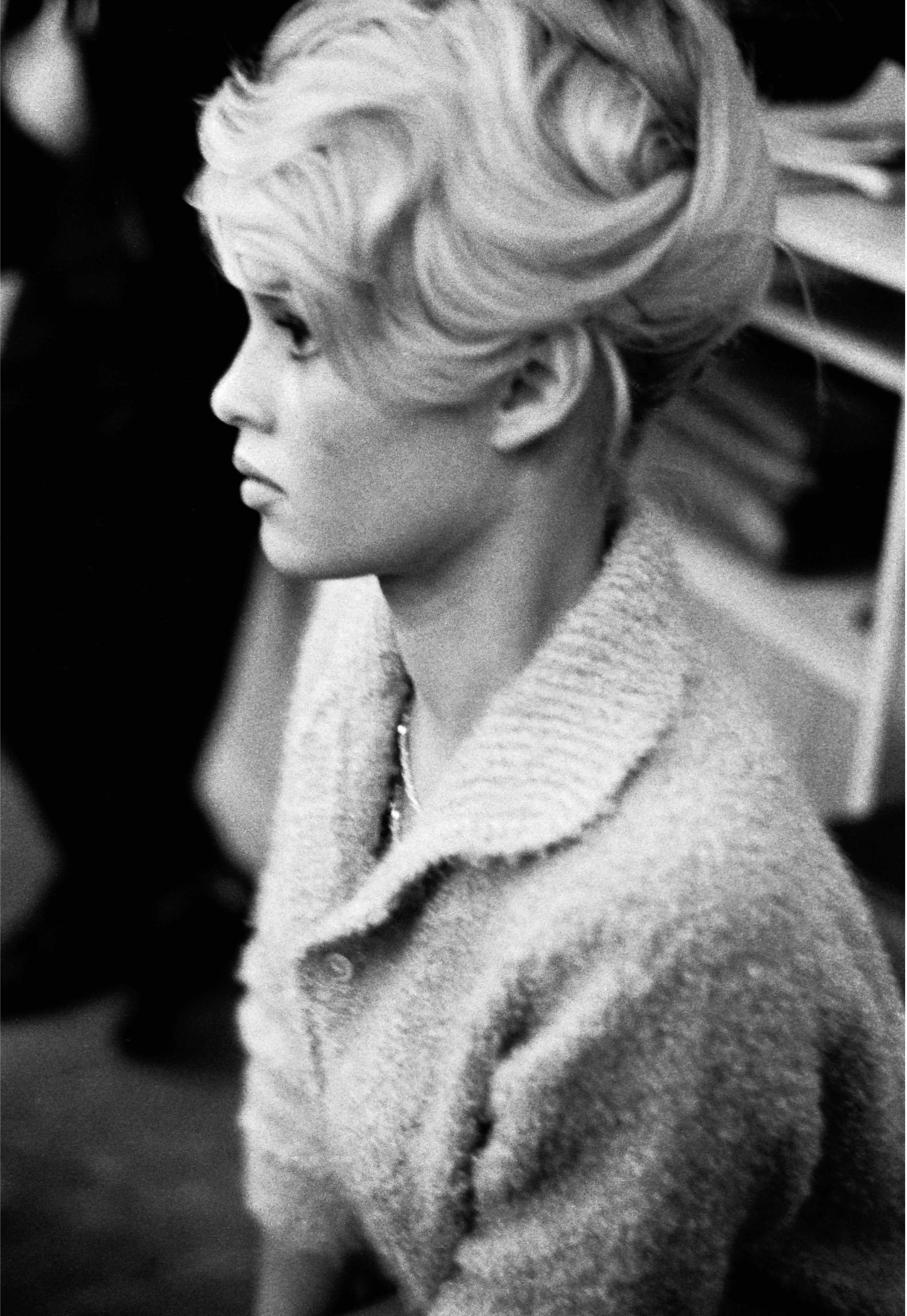 Brigitte Bardot photo #525068