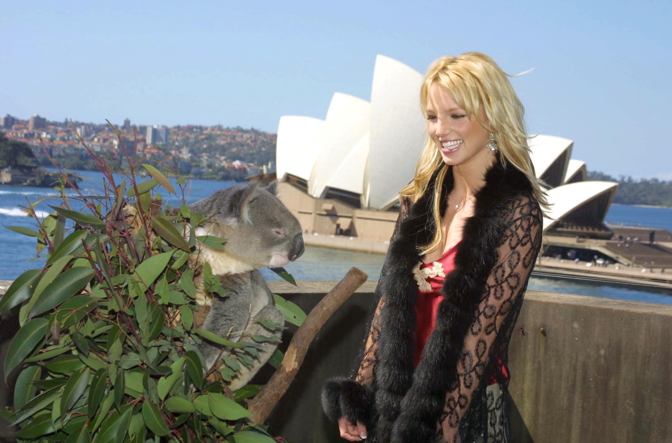 Britney Spears photo #207653