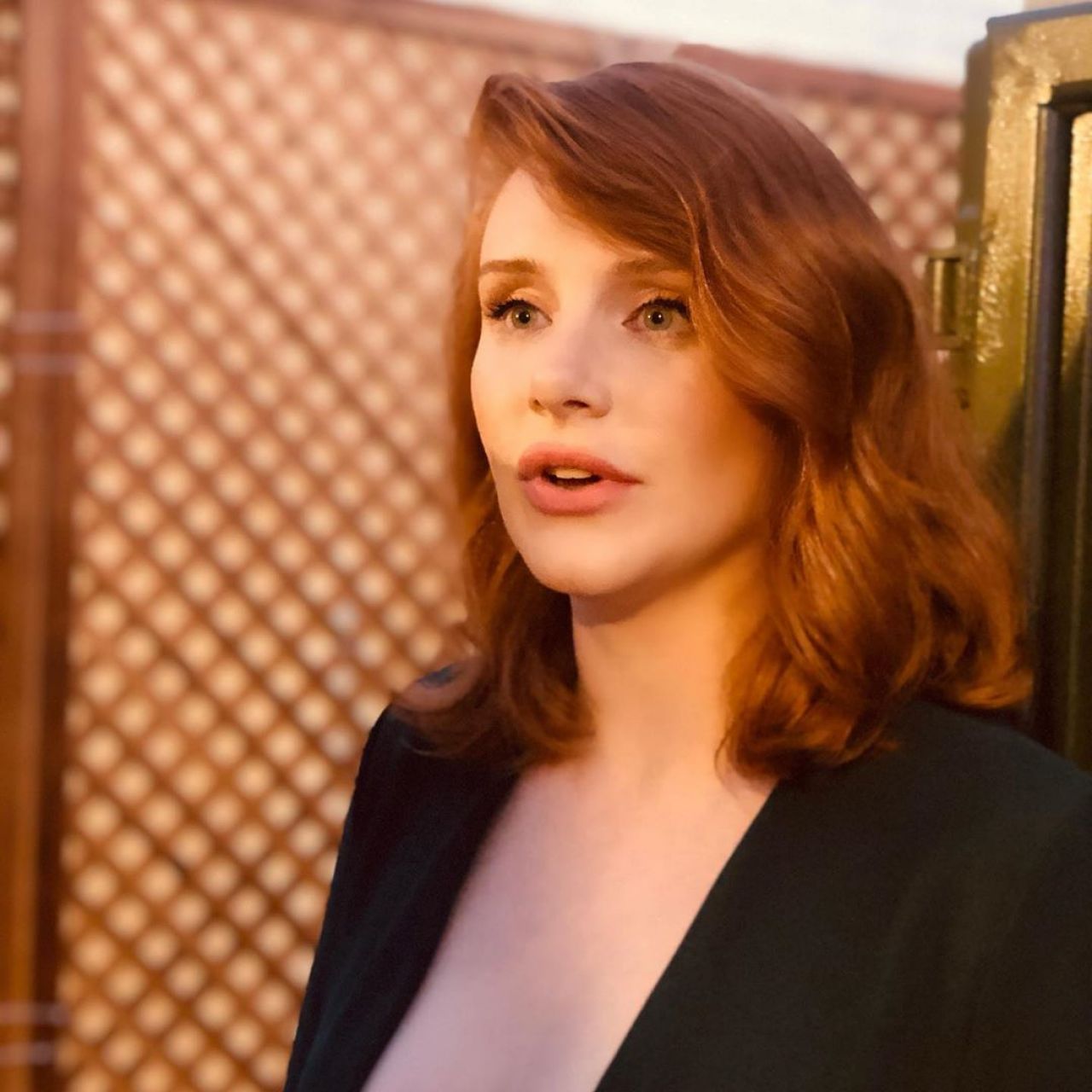 Bryce Dallas Howard photo #923849