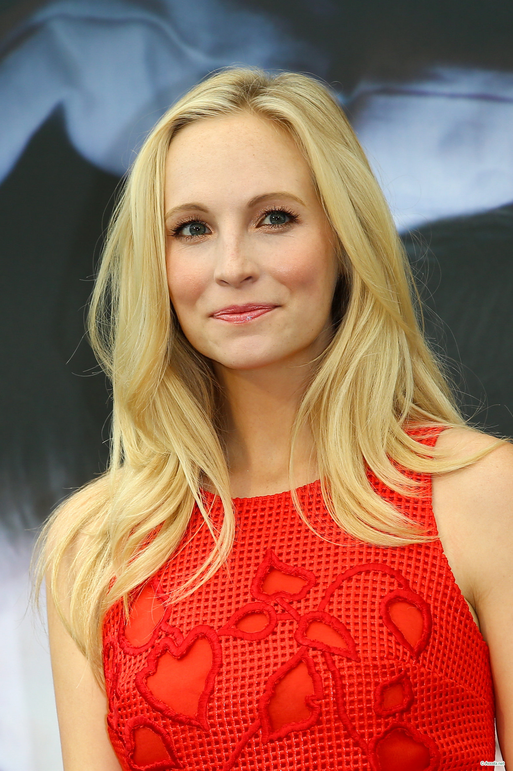 Candice Accola photo #681480