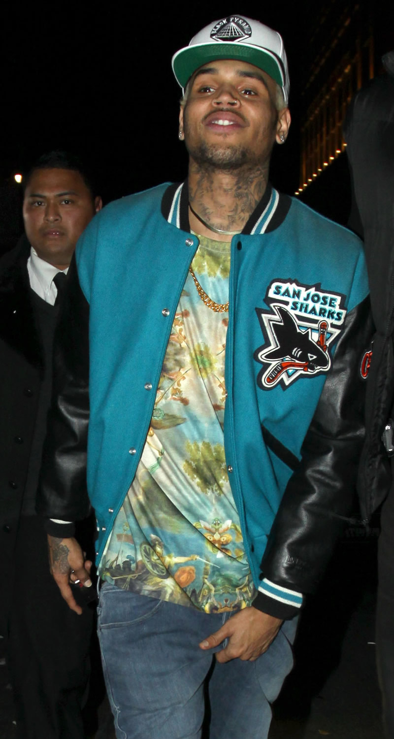 Chris Brown photo #459311