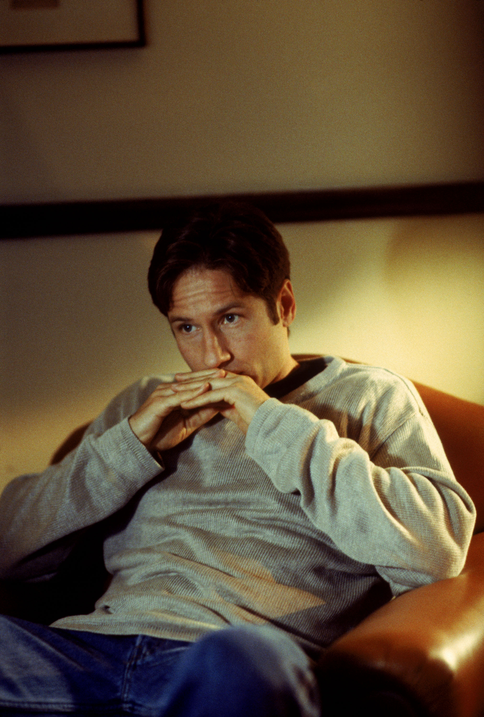 David Duchovny photo #348806