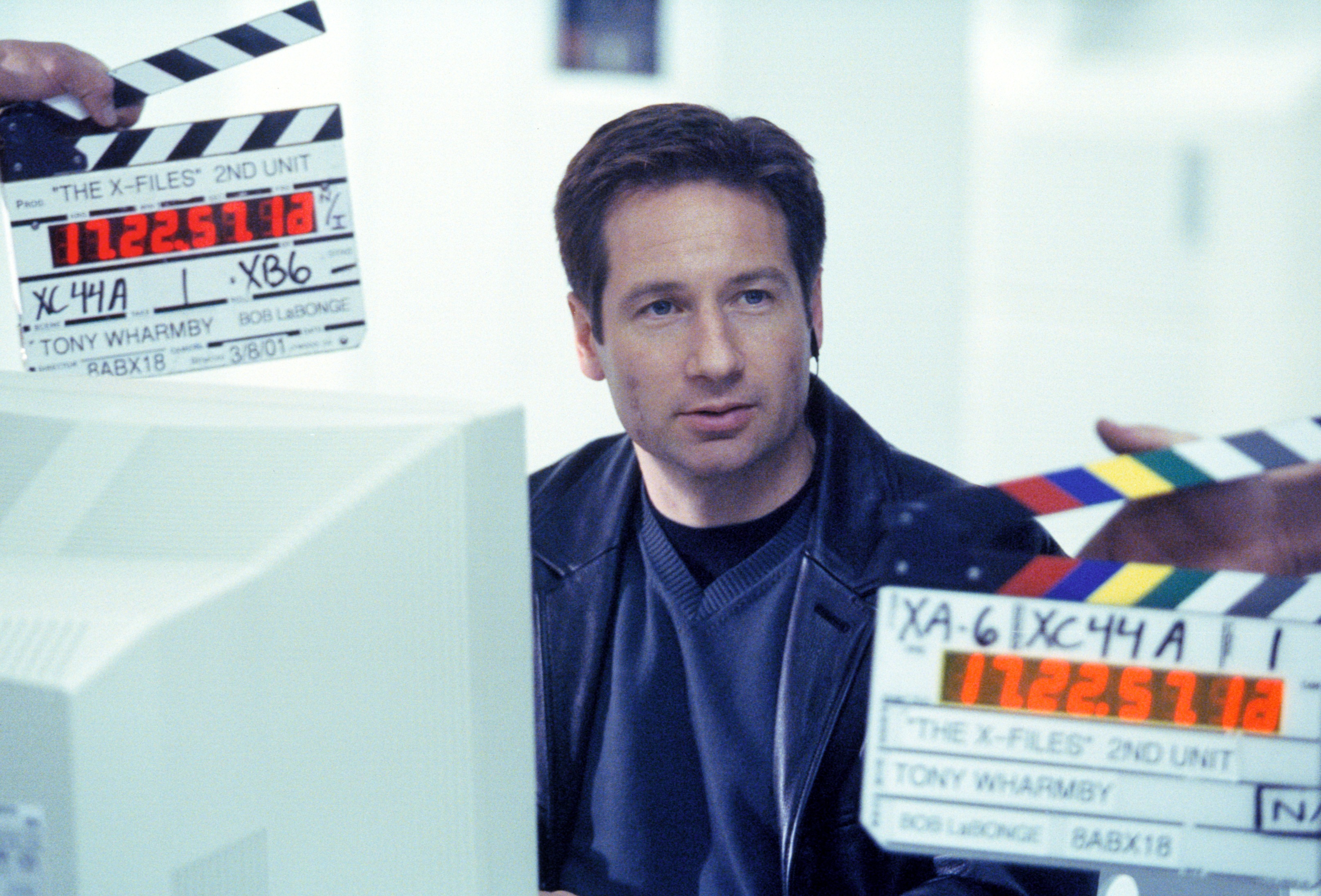 David Duchovny photo #348804