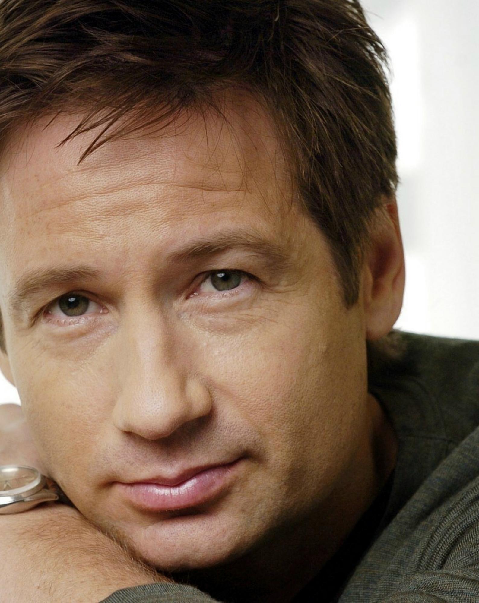 David Duchovny photo #348802