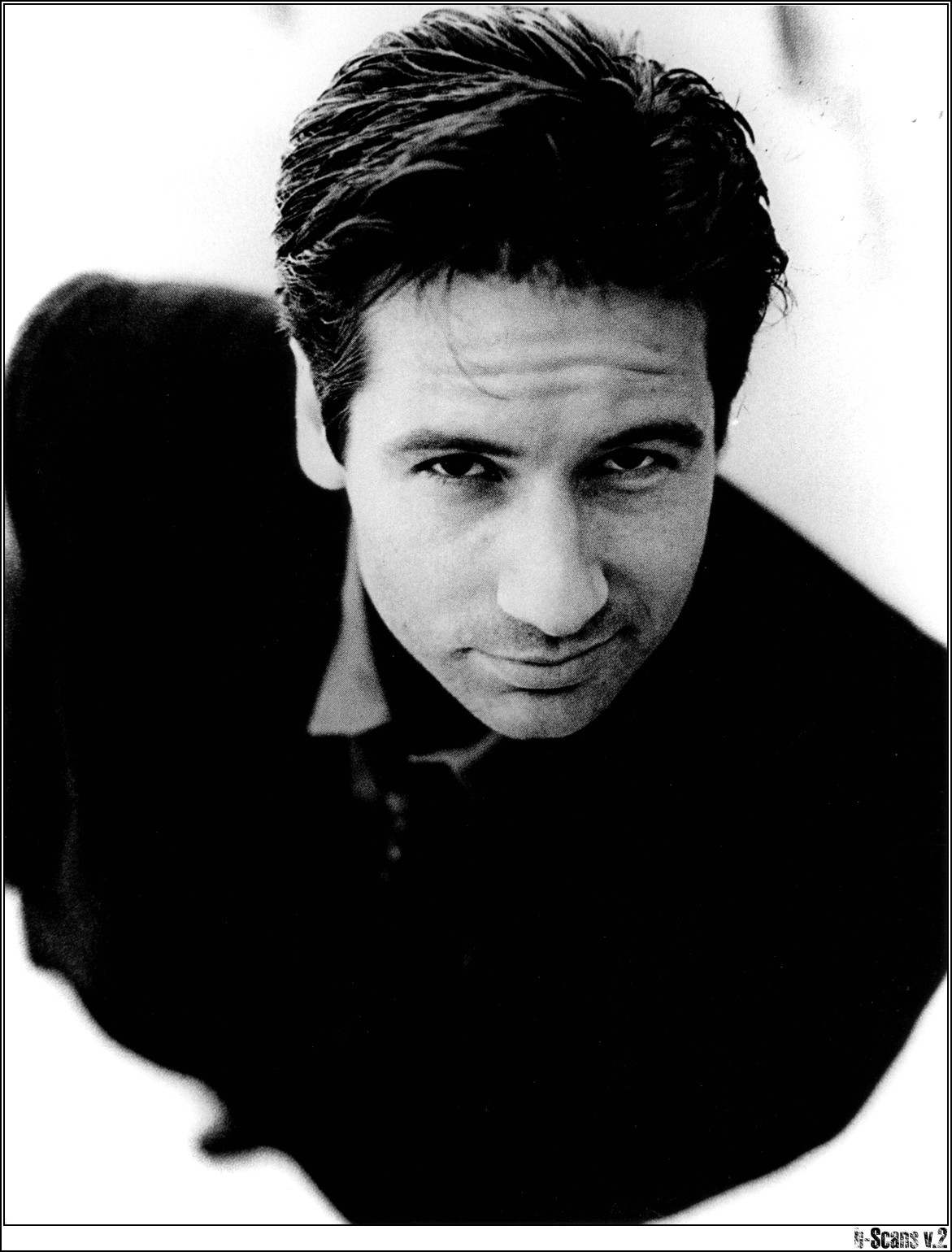 David Duchovny photo #6025