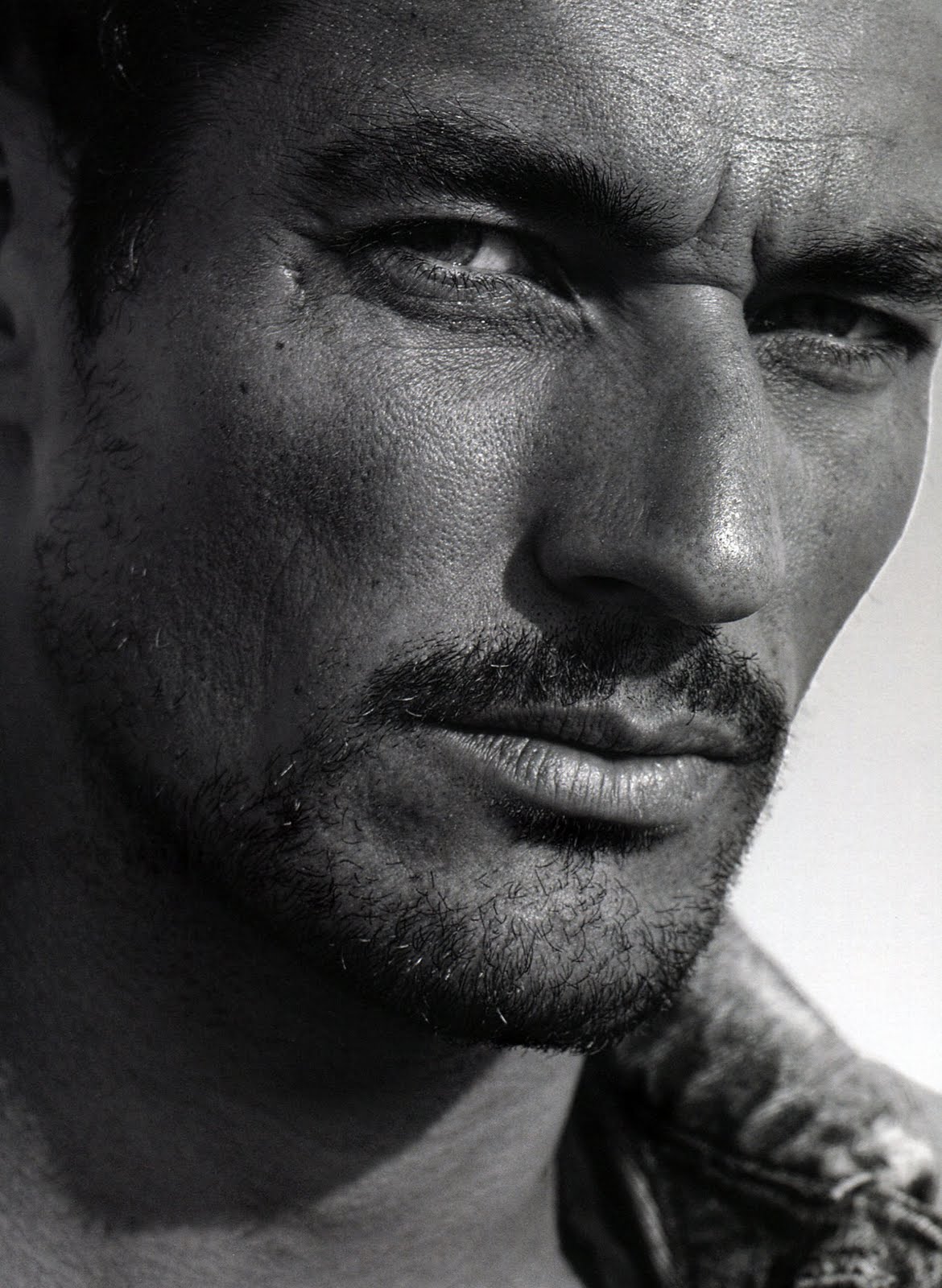 David Gandy photo #226441