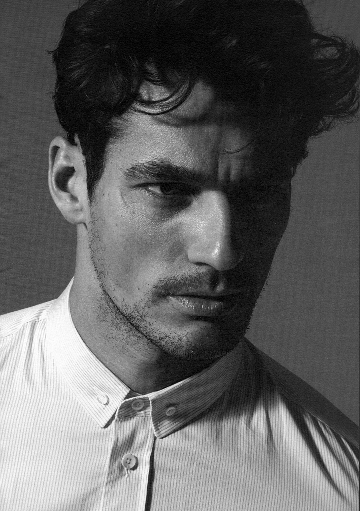 David Gandy photo #251557