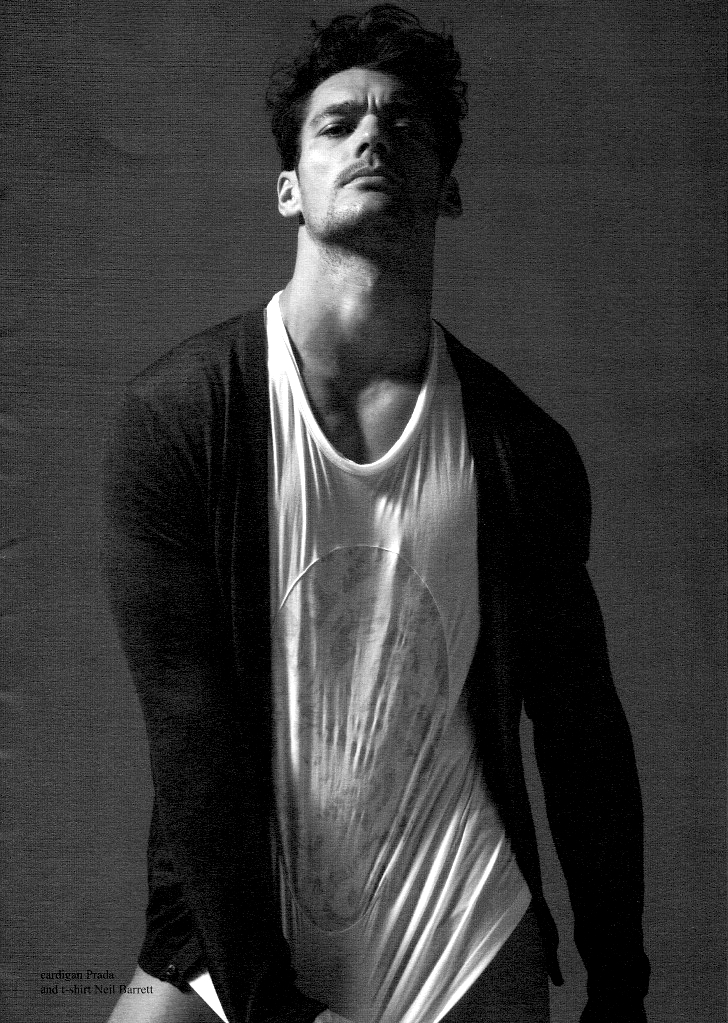 David Gandy photo #251703