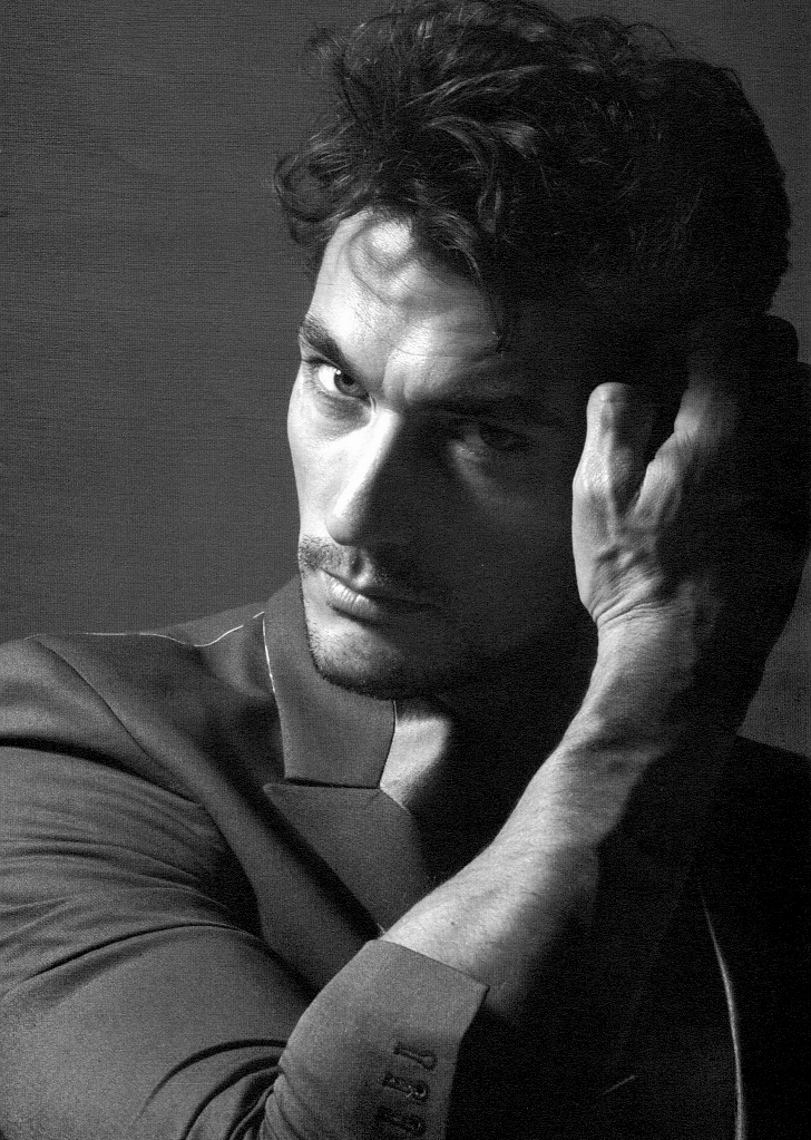 David Gandy photo #251624