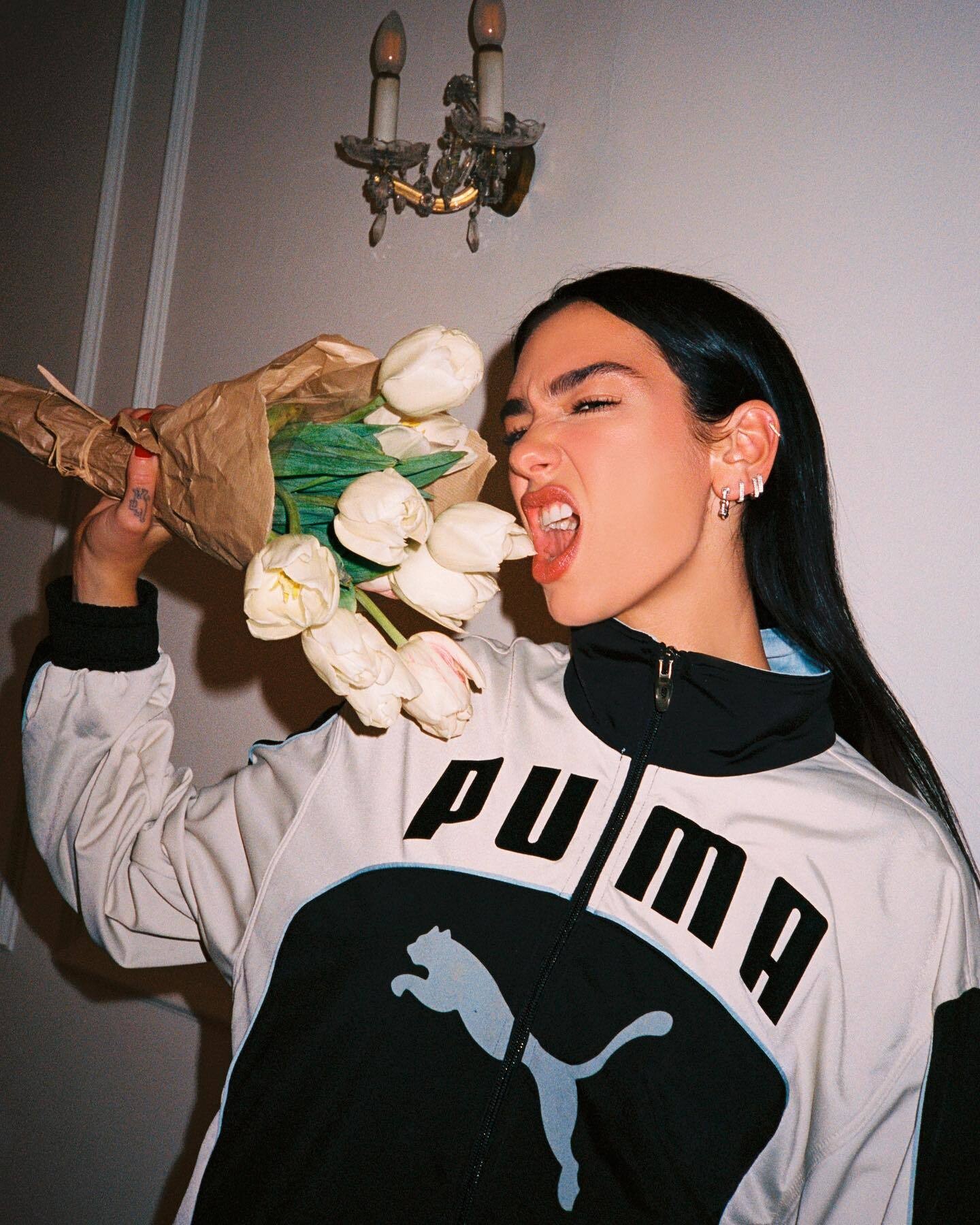 Dua Lipa photo #1055720