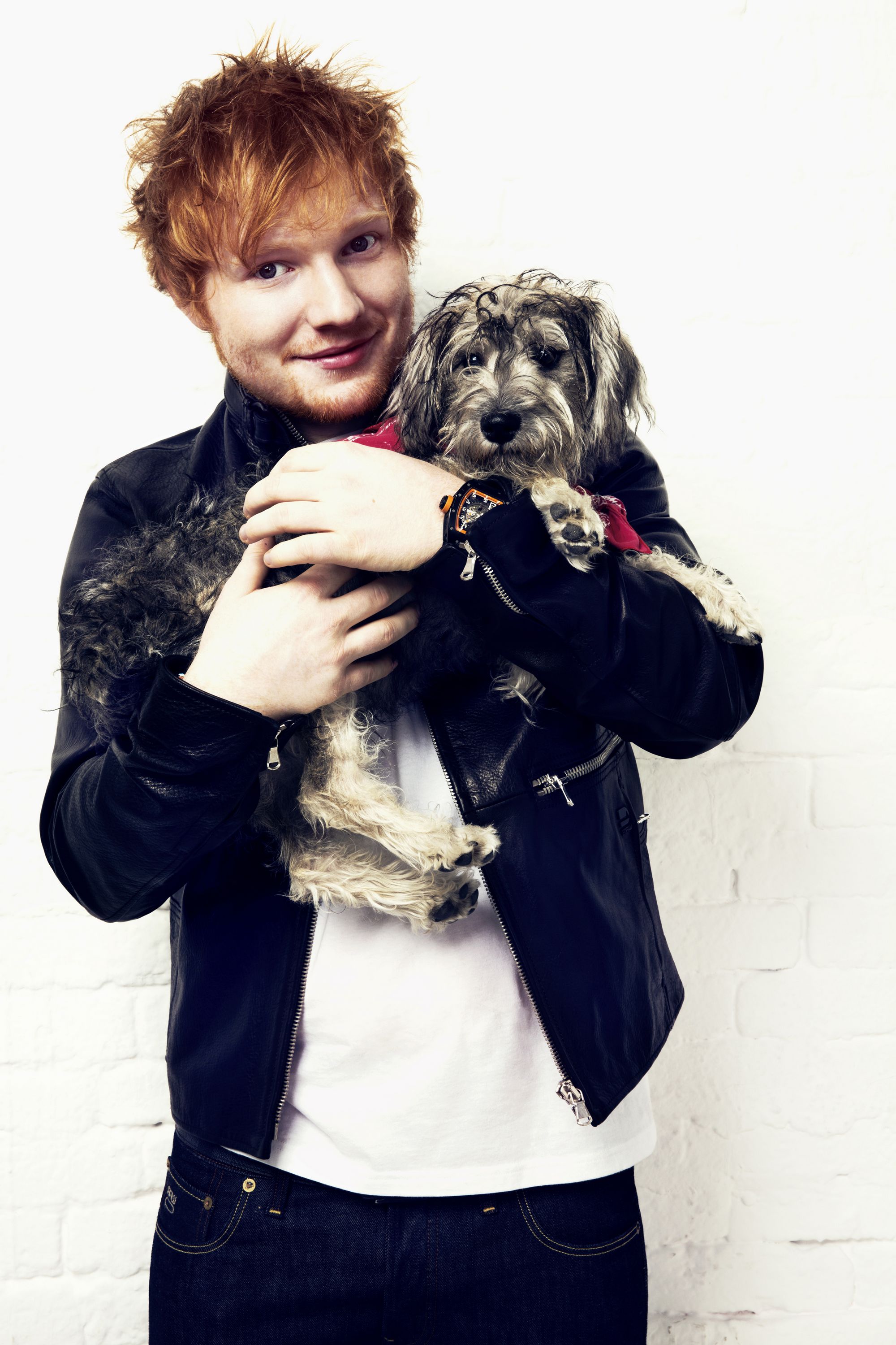 Ed Sheeran photo #767701