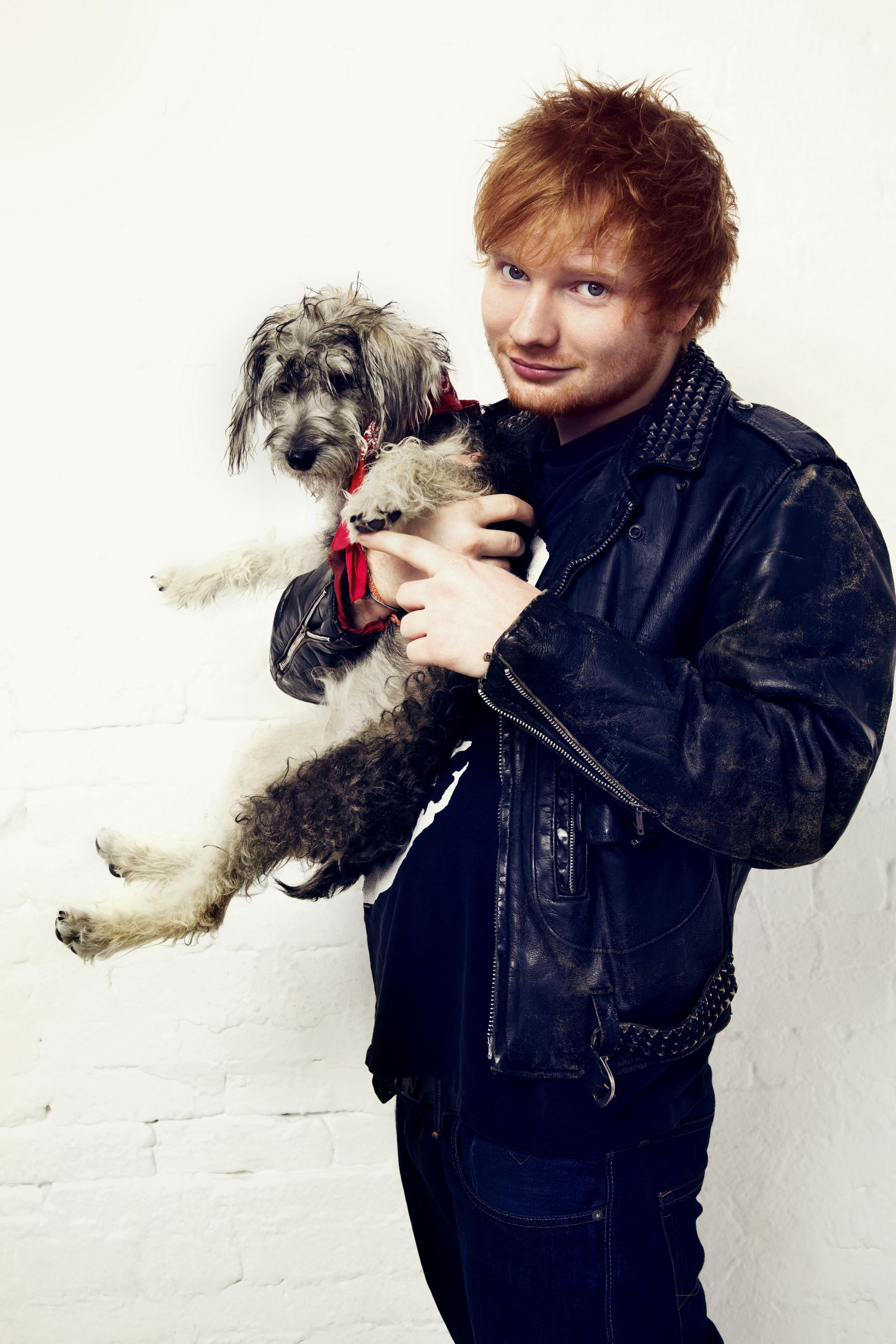 Ed Sheeran photo #767695