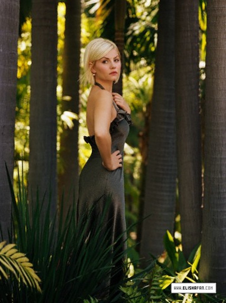 Elisha Cuthbert photo #115044