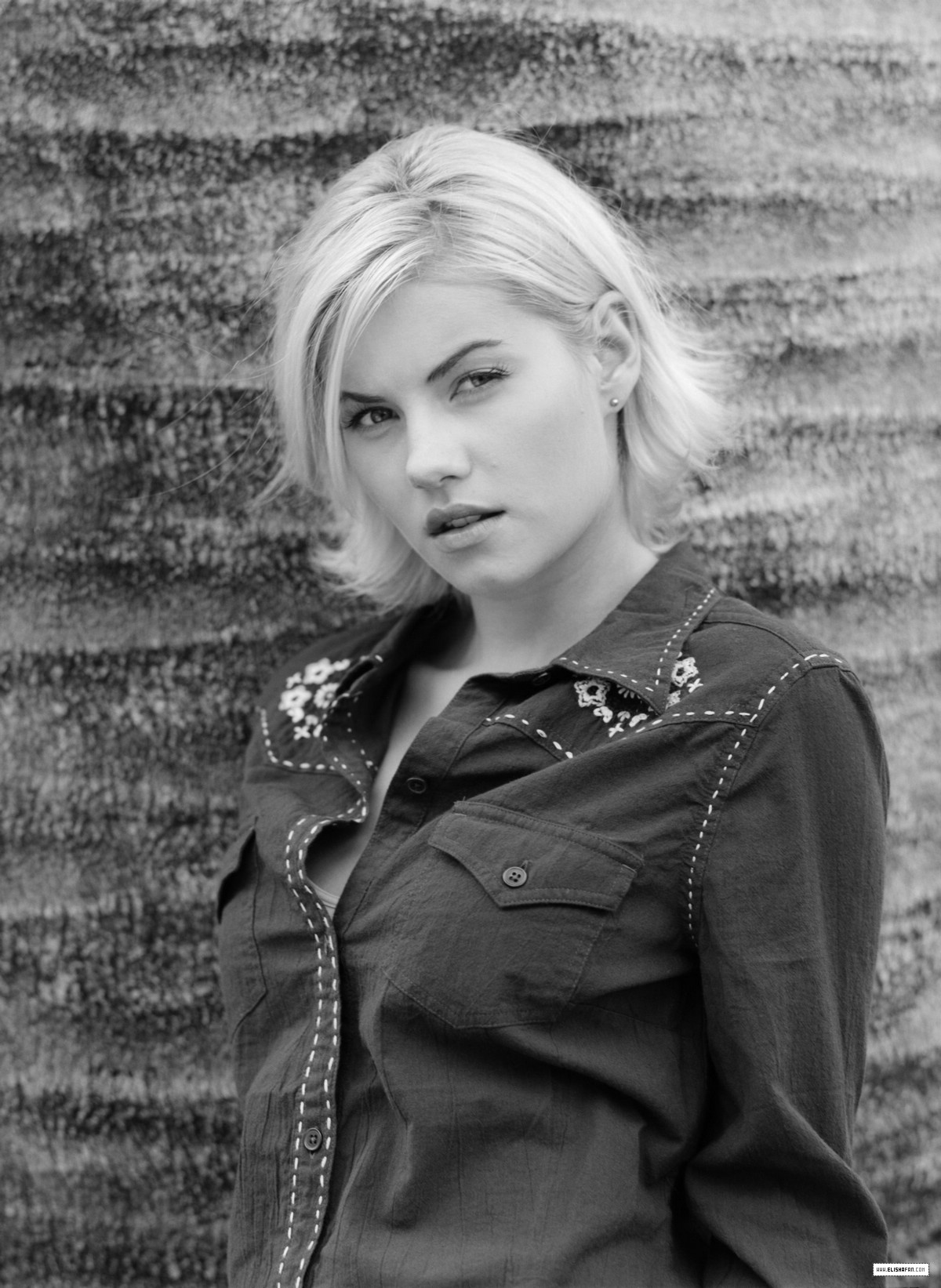 Elisha Cuthbert photo #115061