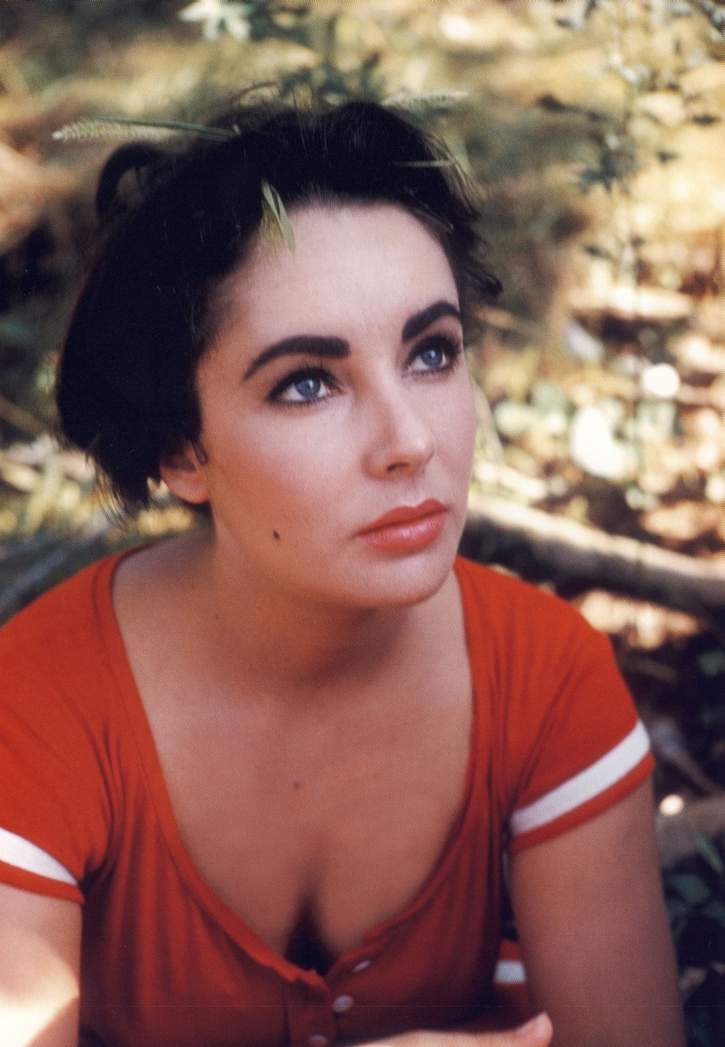 Elizabeth Taylor photo #152108