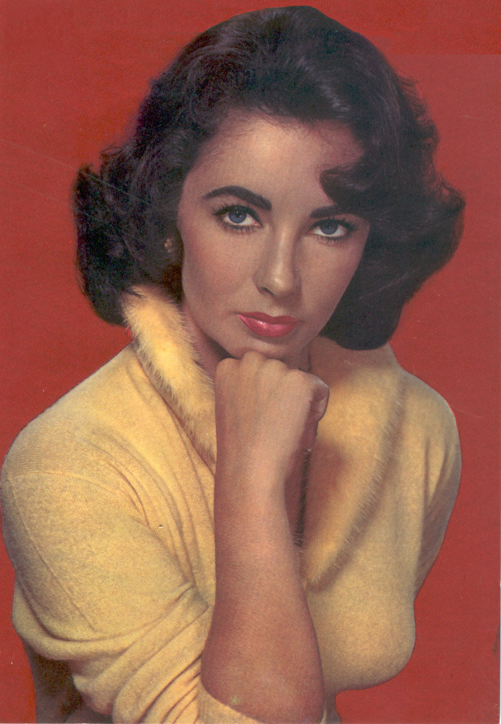 Elizabeth Taylor photo #93521