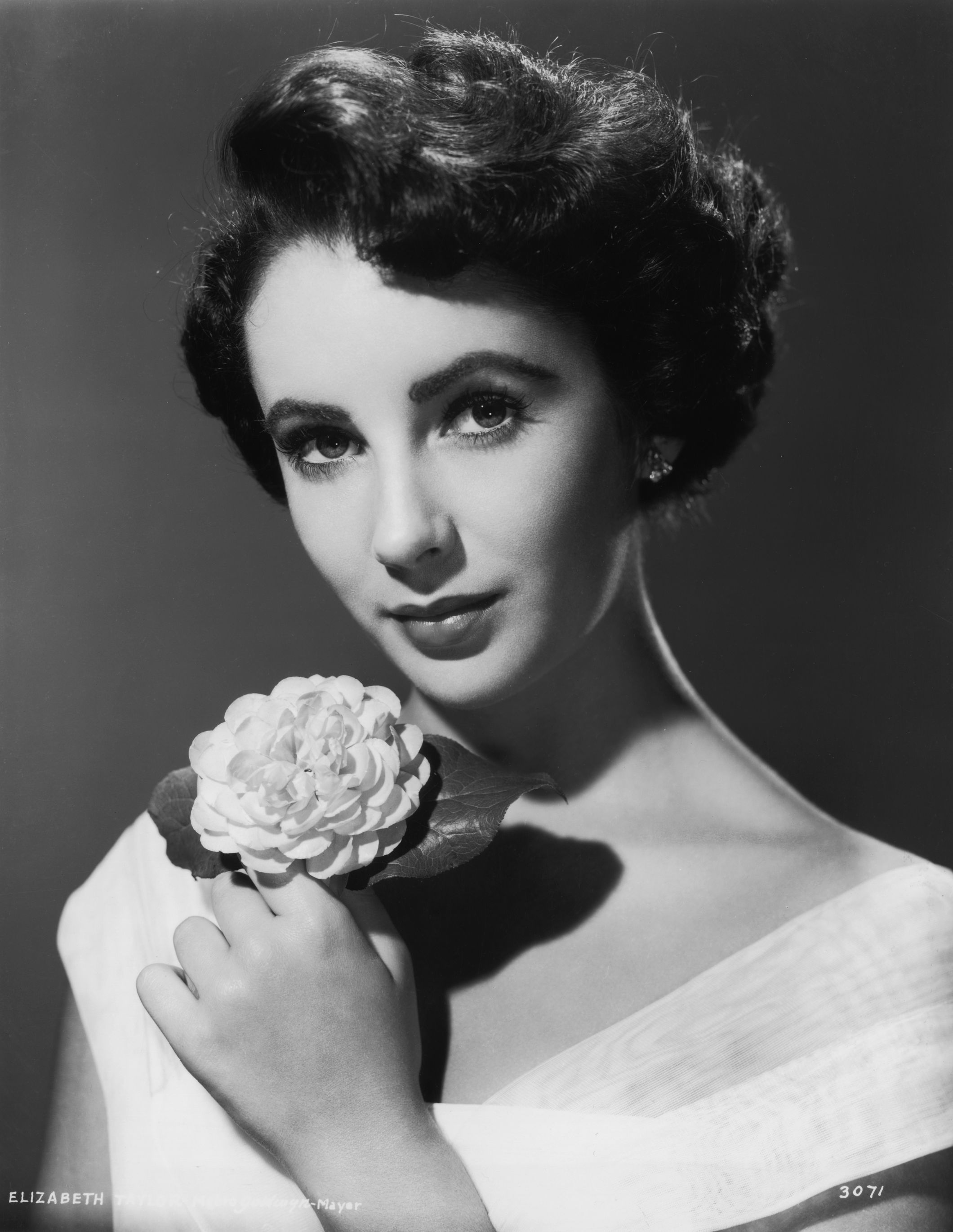 Elizabeth Taylor photo #91735