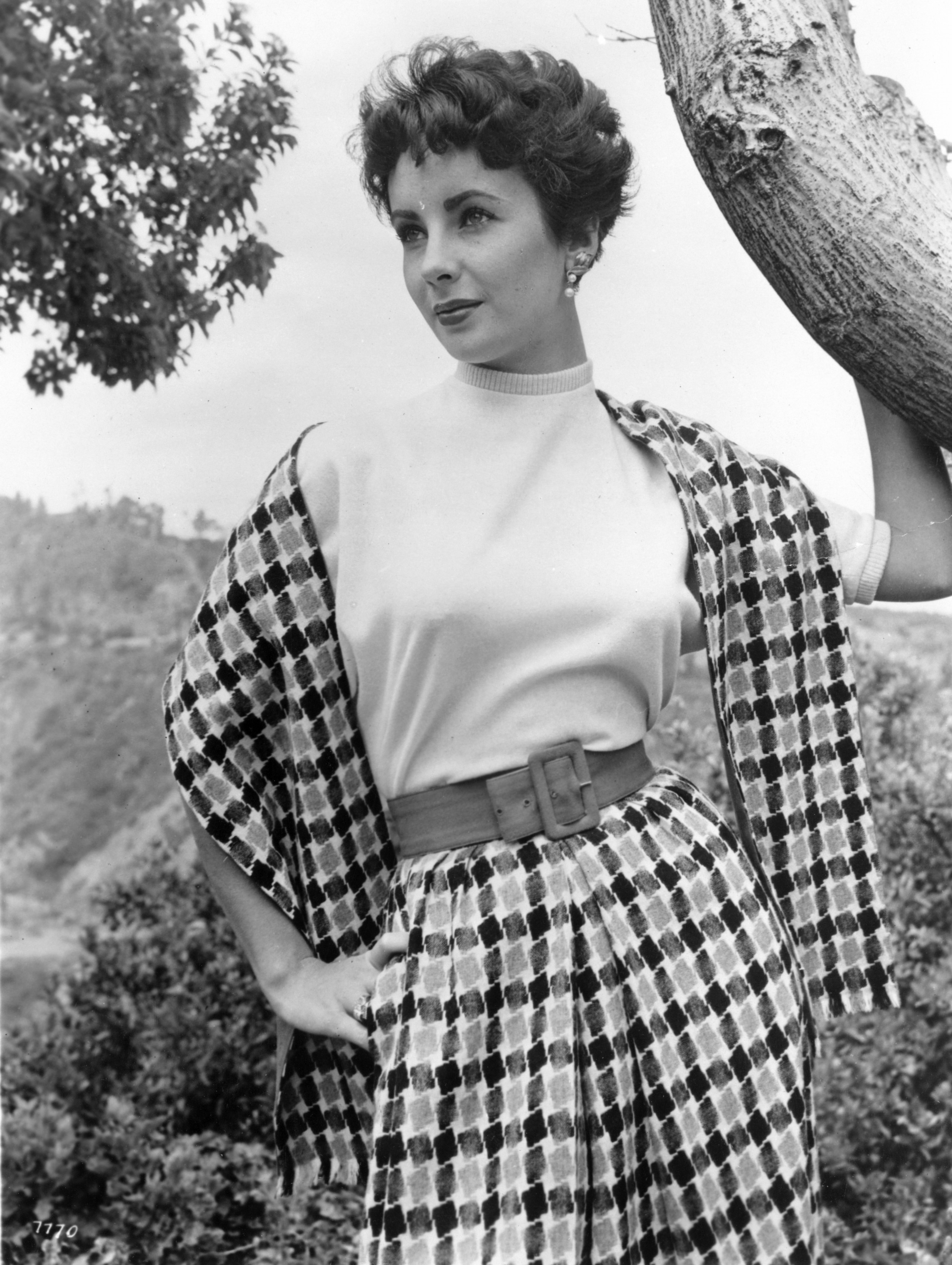 Elizabeth Taylor photo #326489