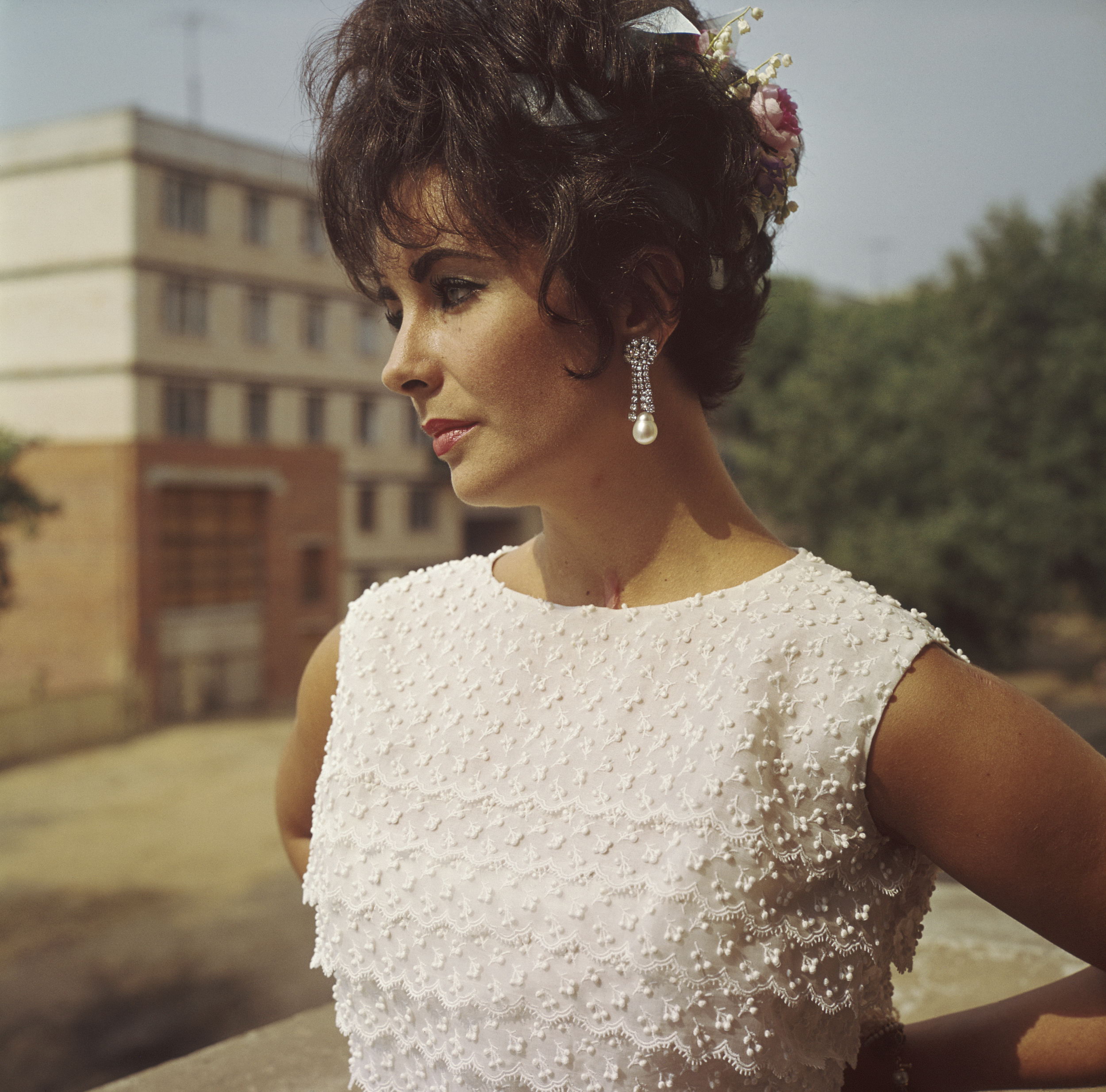 Elizabeth Taylor photo #177827