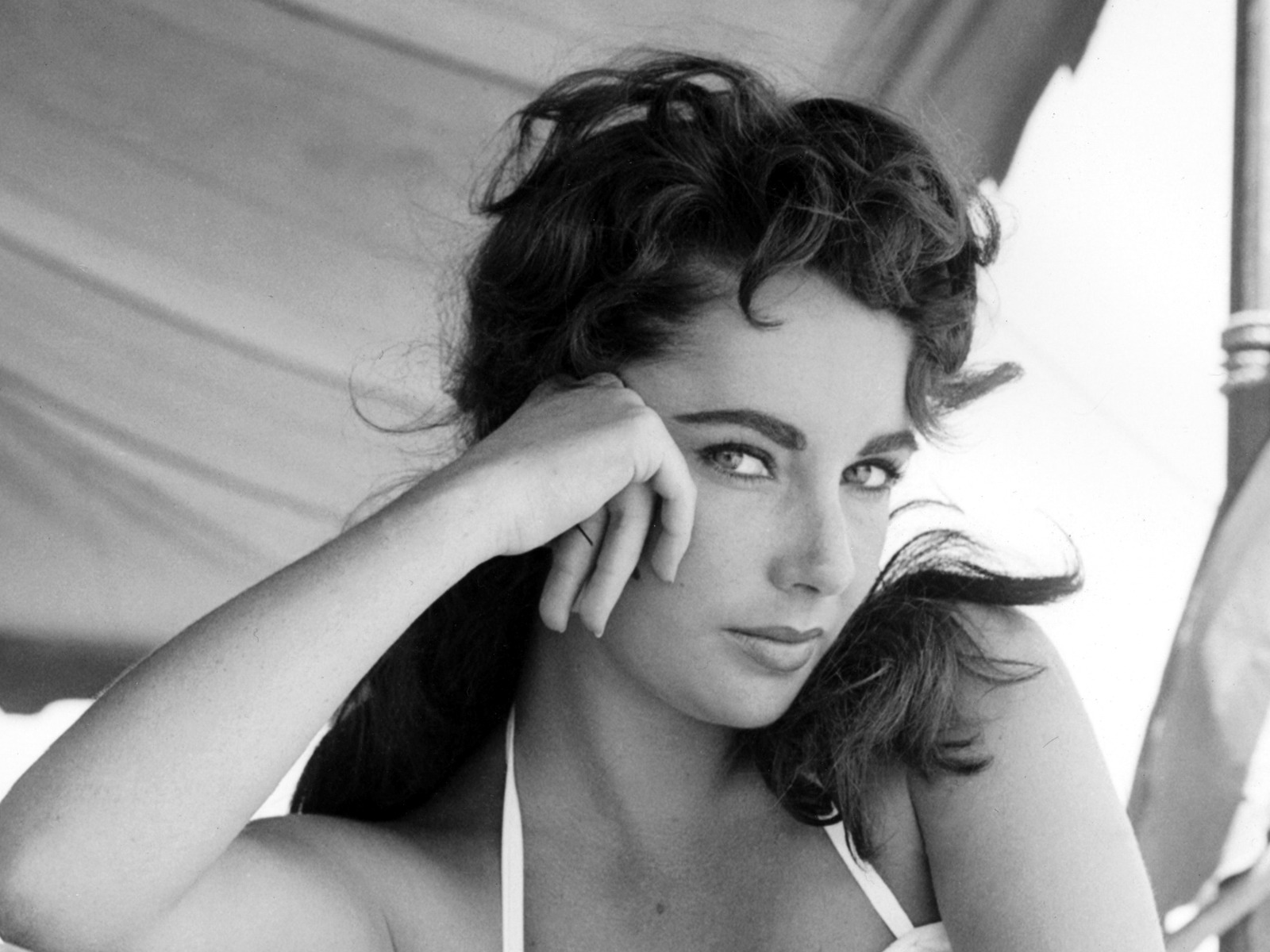 Elizabeth Taylor photo #182147