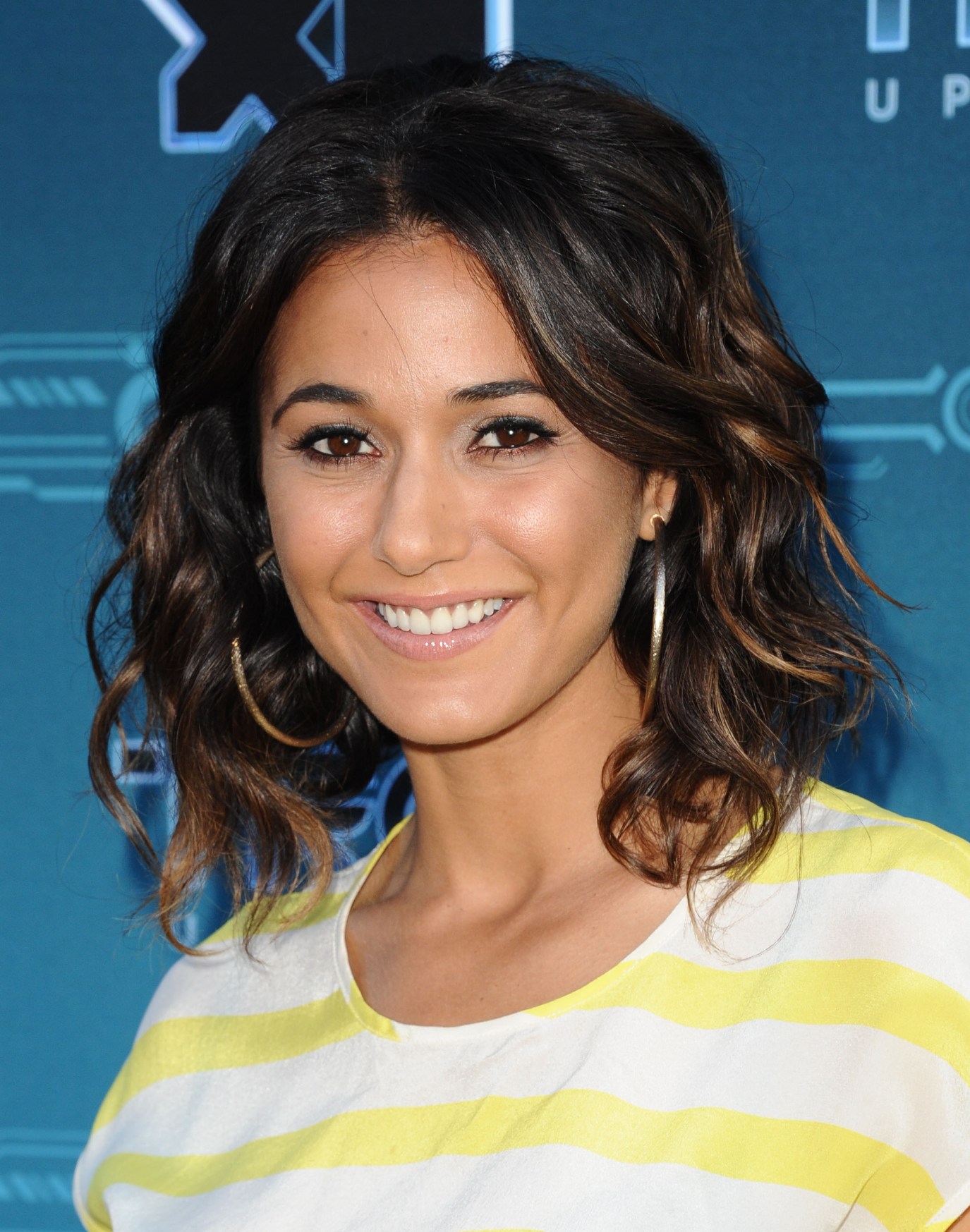 Emmanuelle Chriqui photo #387726